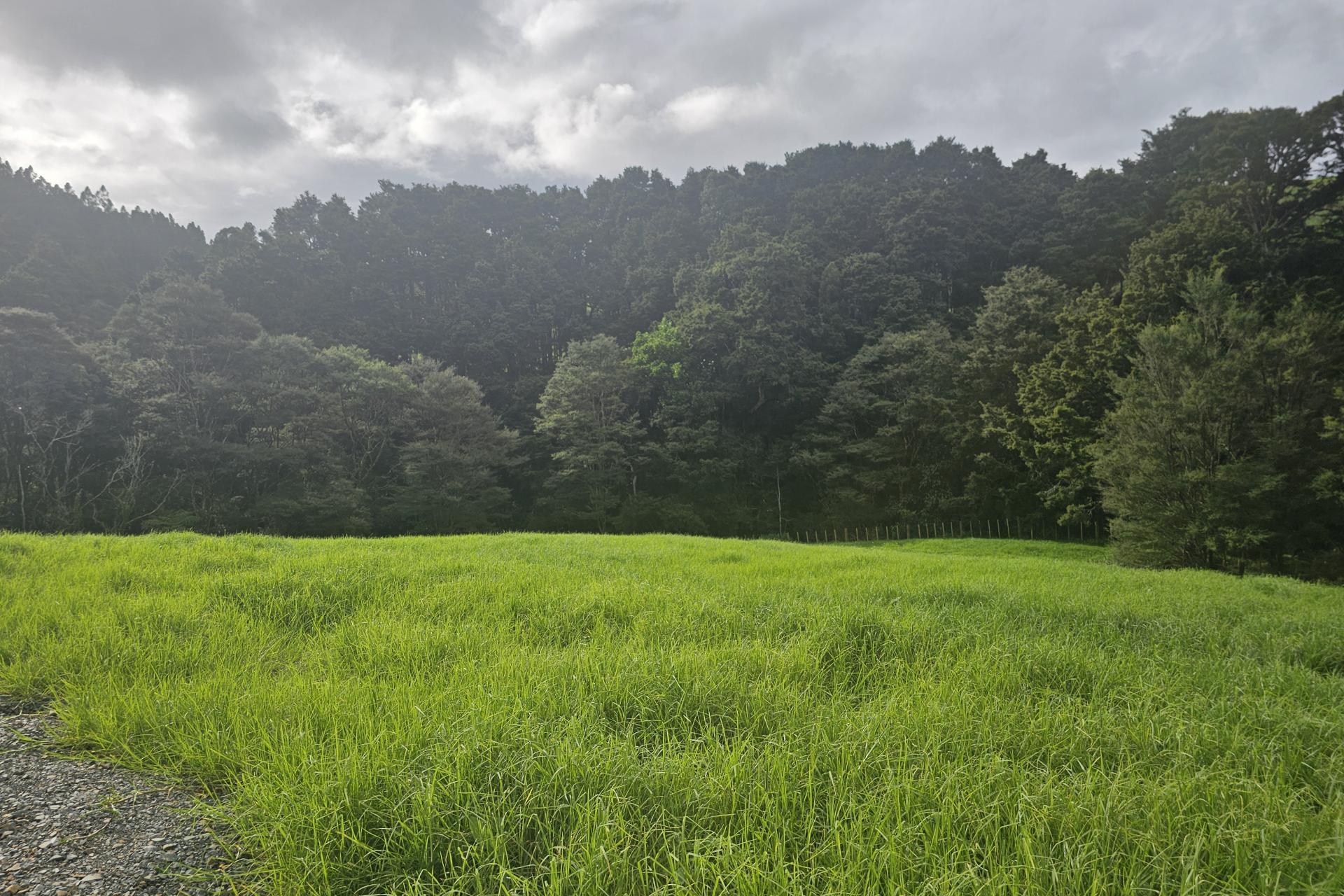Lot 1, 675 Gorge Road, Maungaturoto