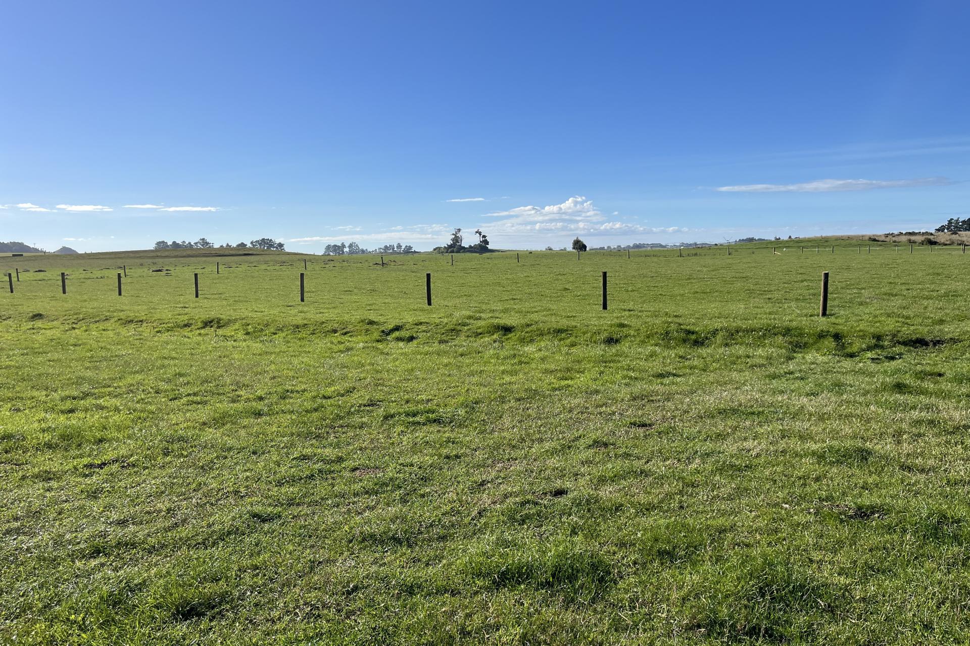 60 Seadown Road, Kakanui