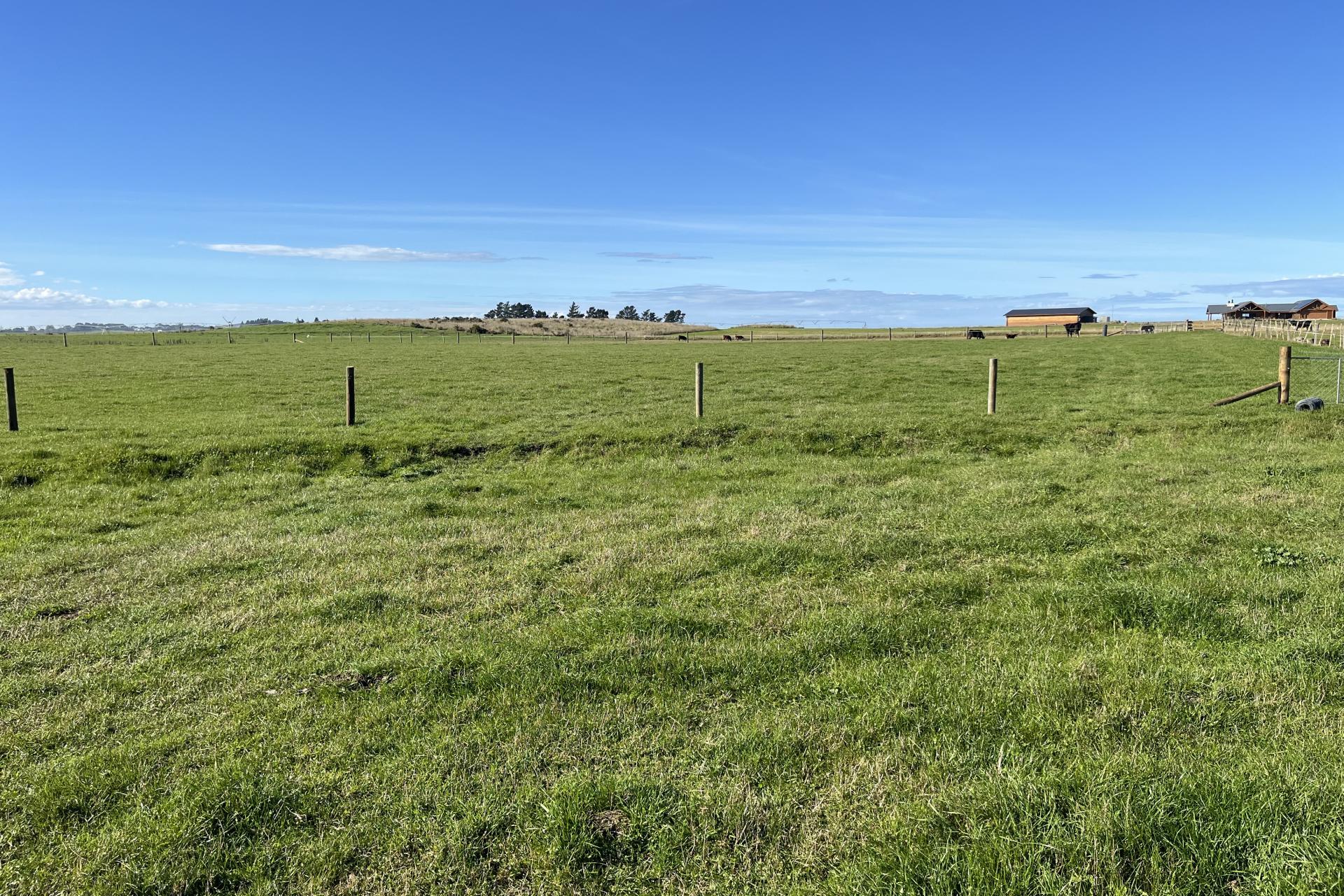 60 Seadown Road, Kakanui