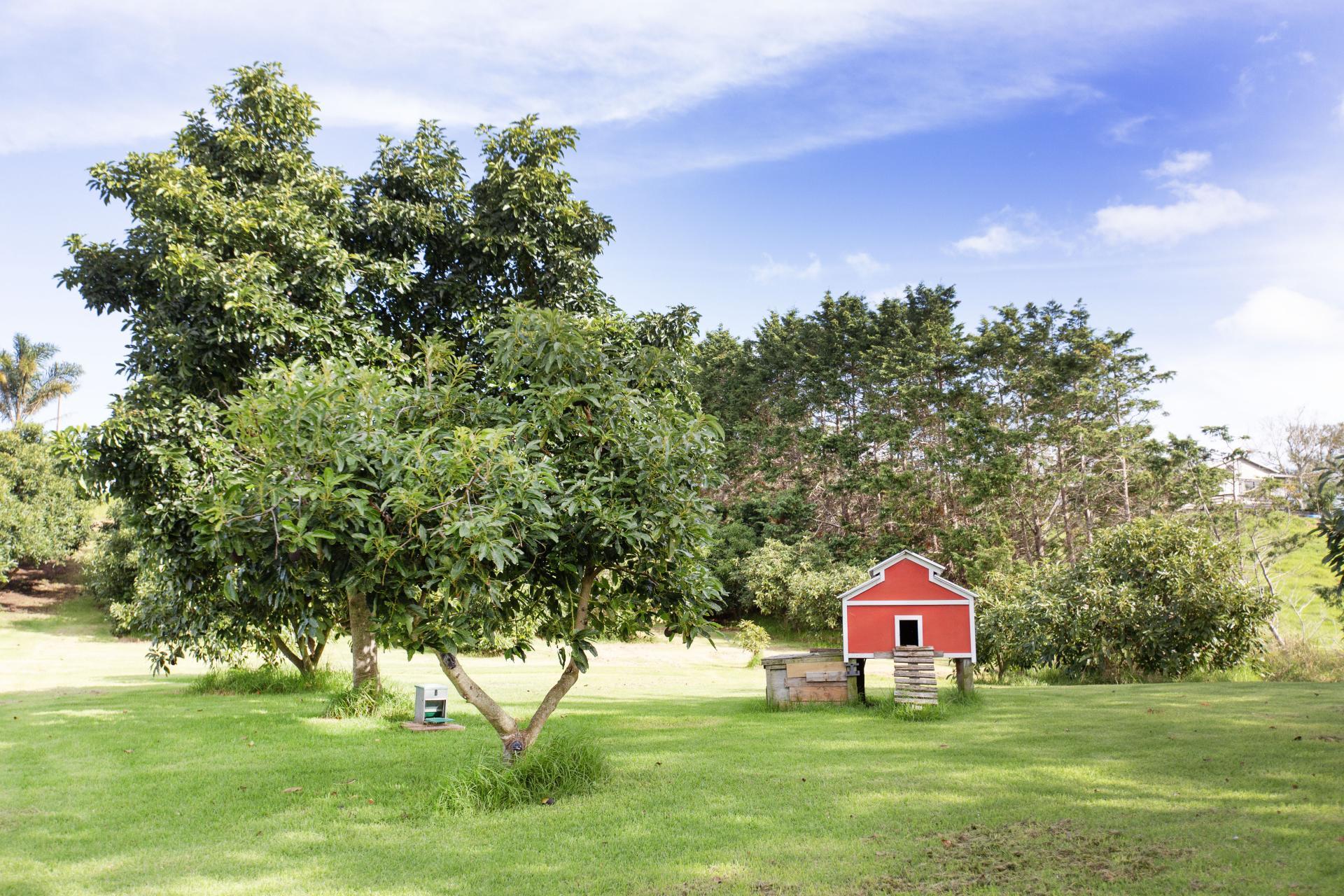 3203 Pouto Road, Te Kopuru