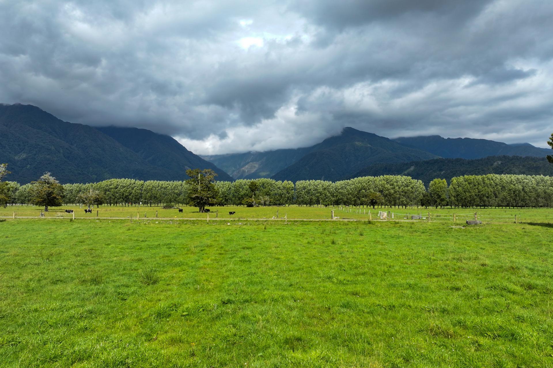 217 Poerua Valley Road, Harihari
