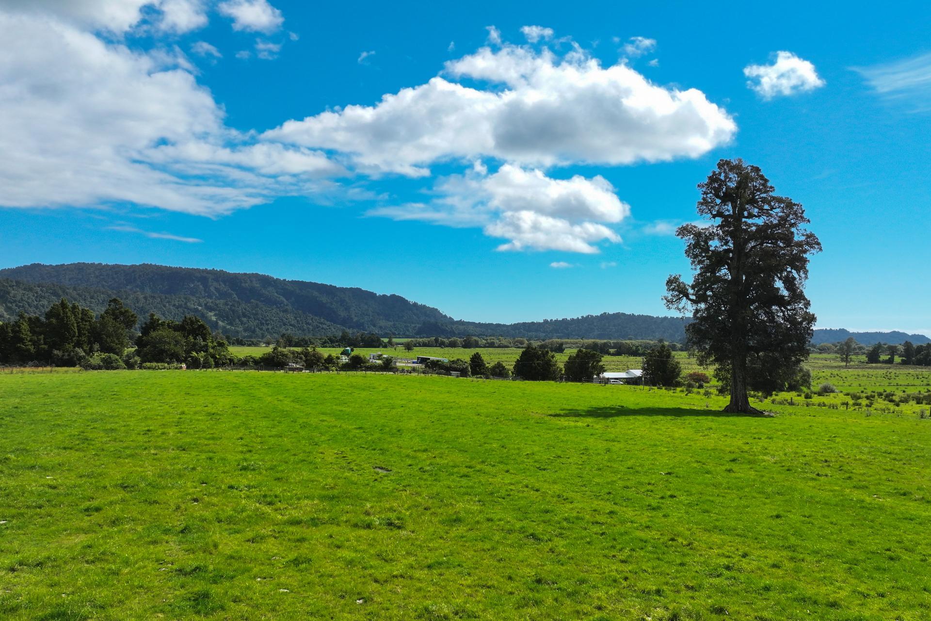 217 Poerua Valley Road, Harihari