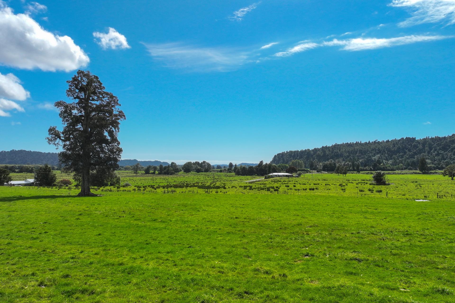 217 Poerua Valley Road, Harihari