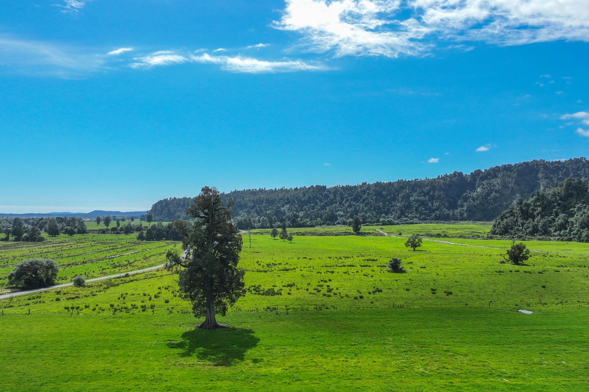 217 Poerua Valley Road, Harihari
