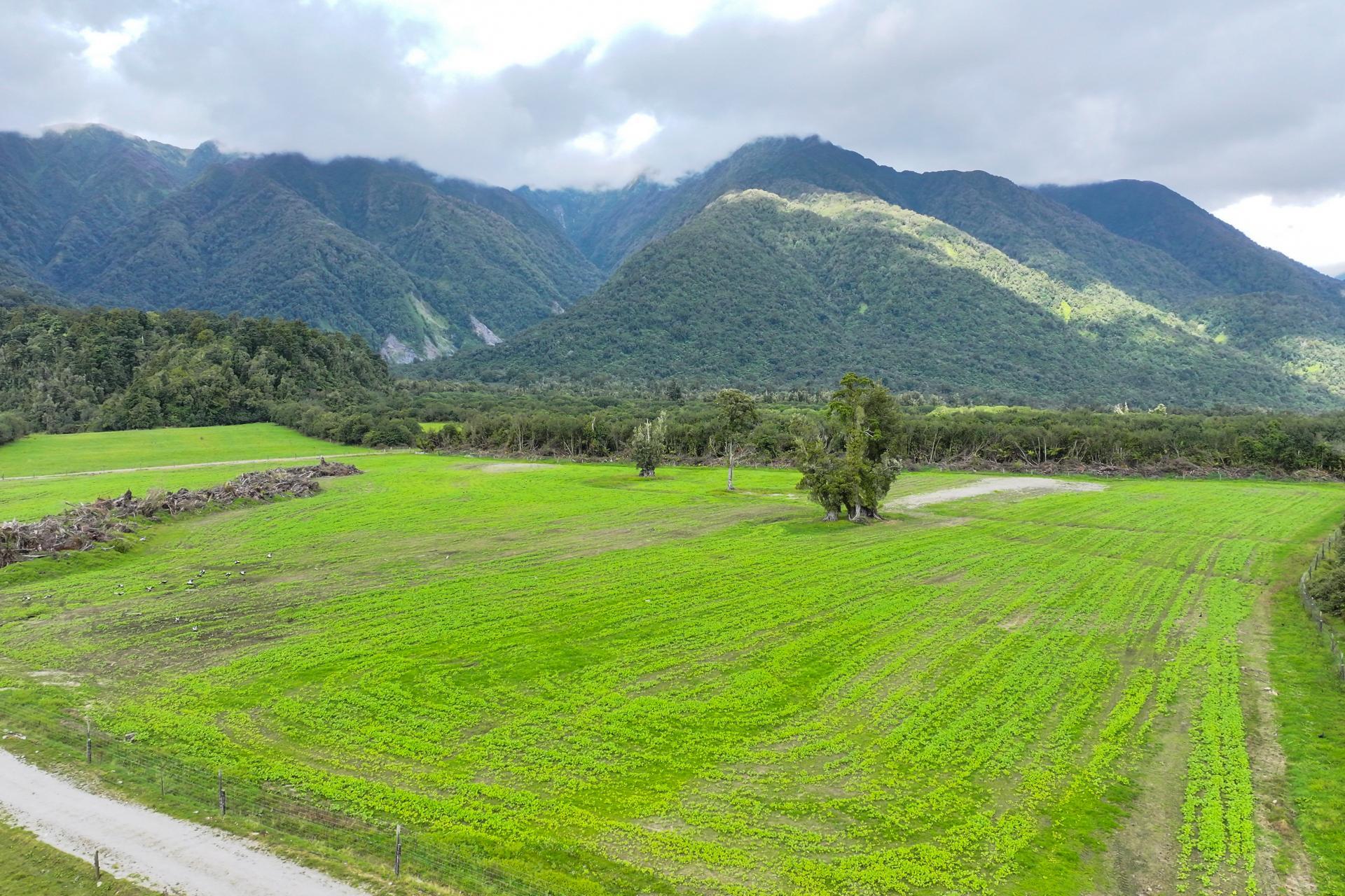 217 Poerua Valley Road, Harihari