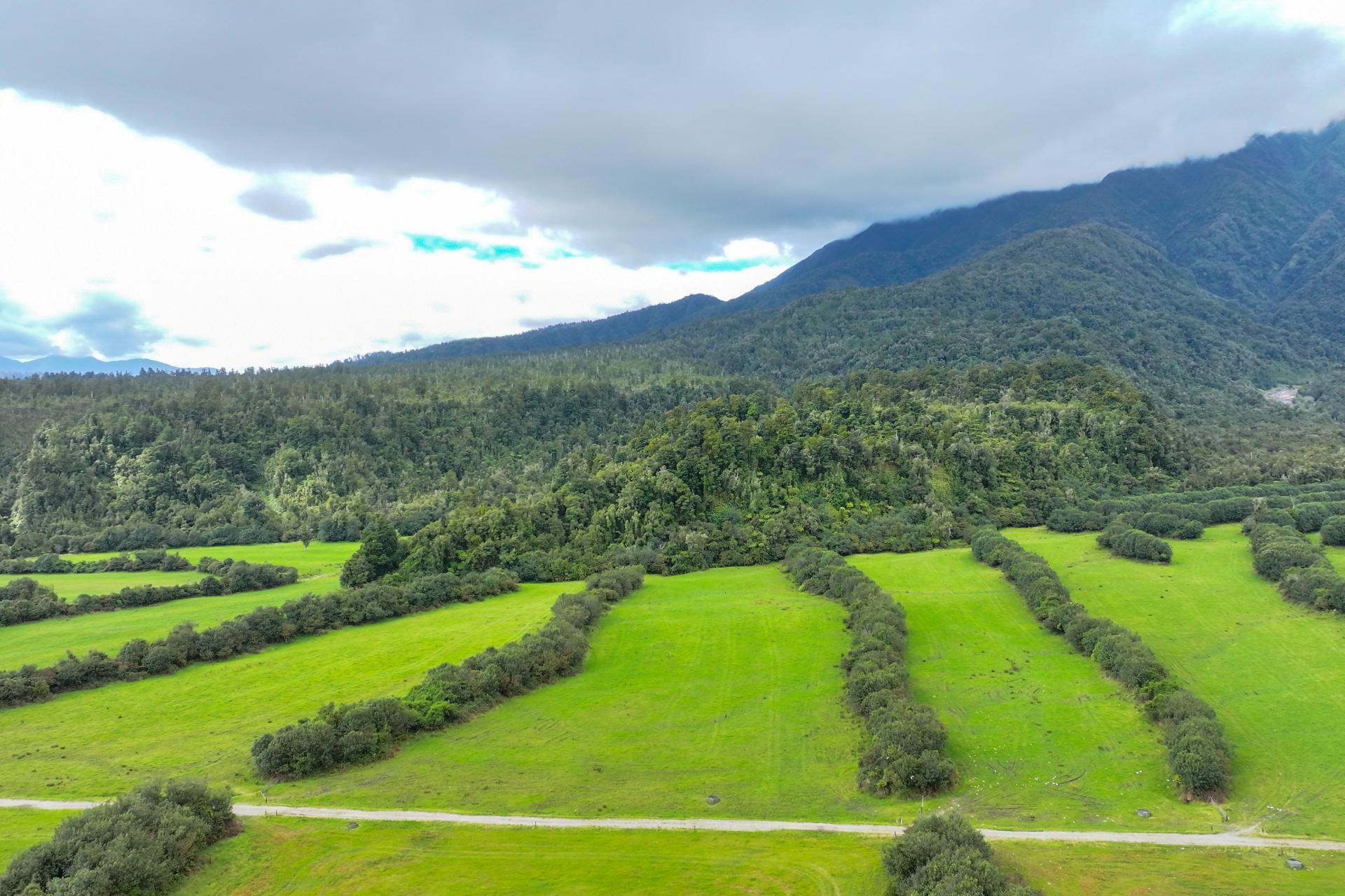 217 Poerua Valley Road, Harihari