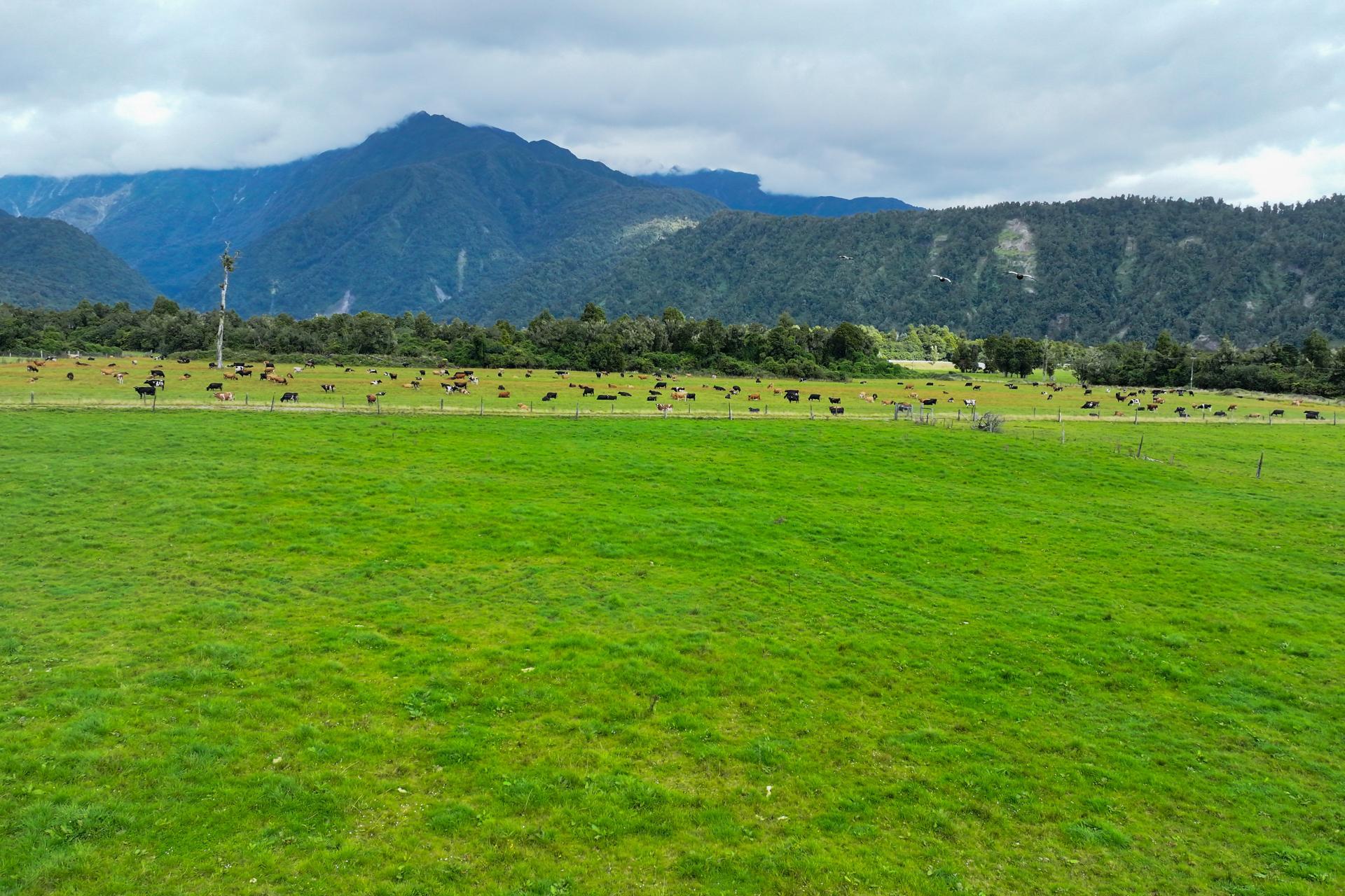 217 Poerua Valley Road, Harihari