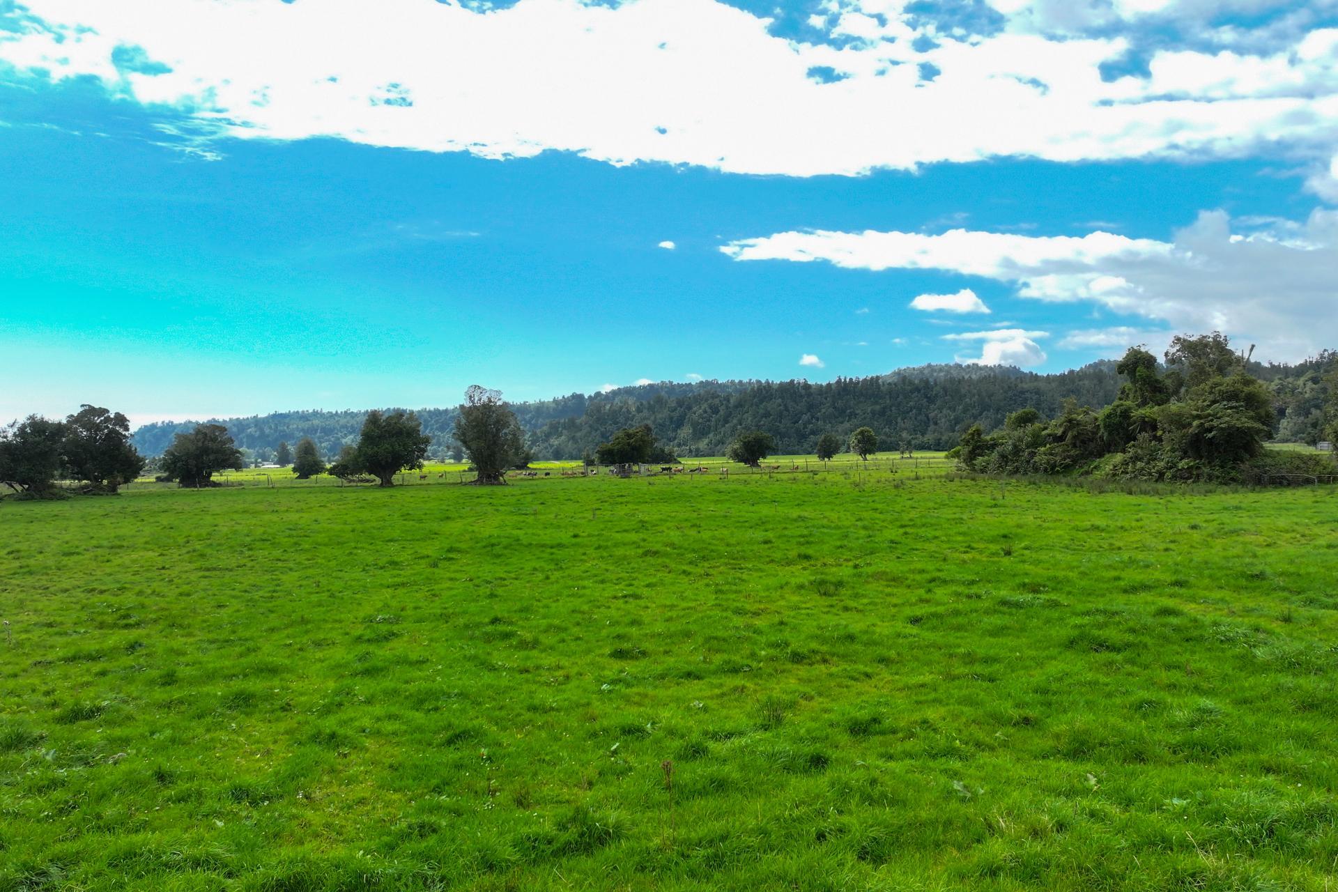 217 Poerua Valley Road, Harihari