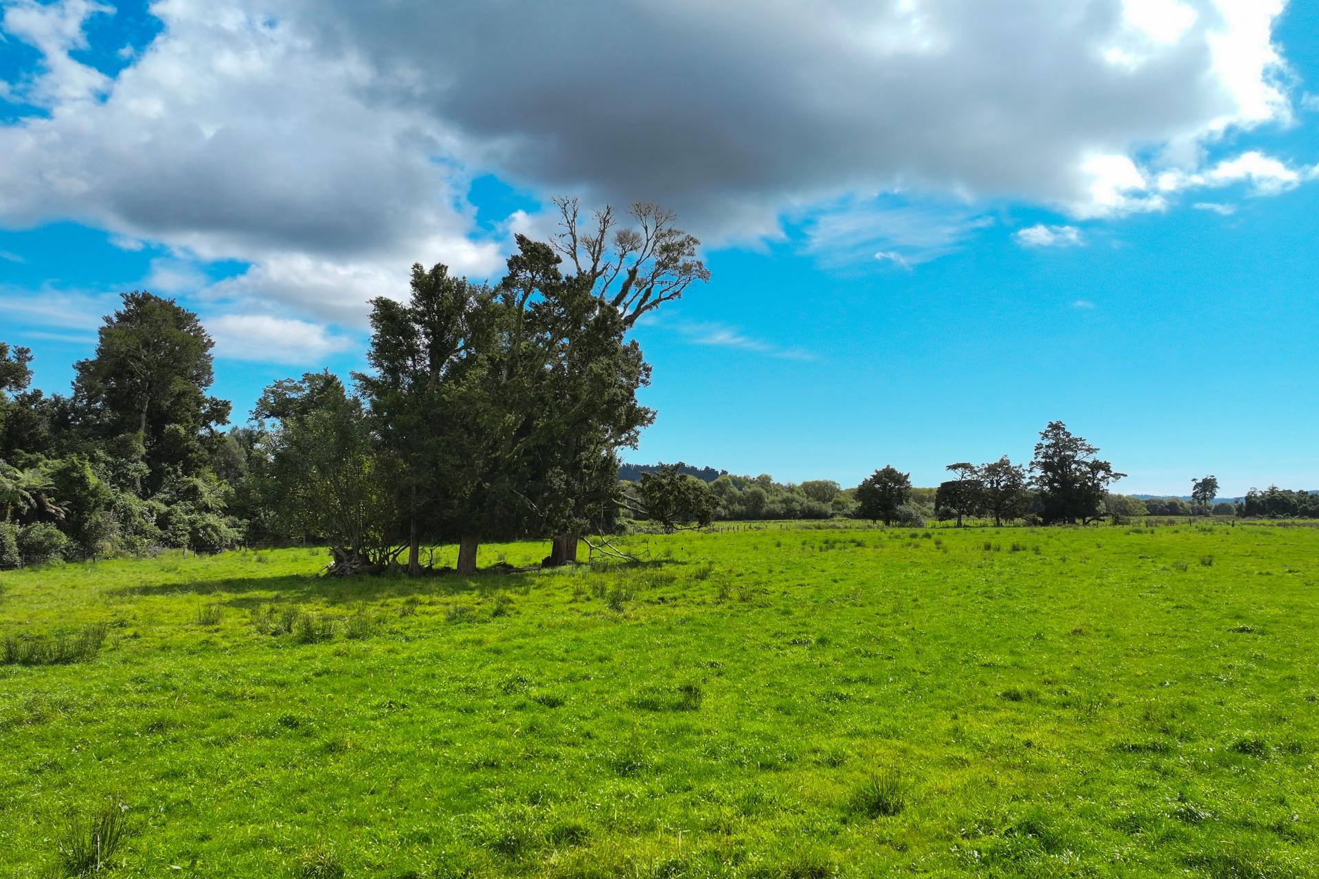 217 Poerua Valley Road, Harihari