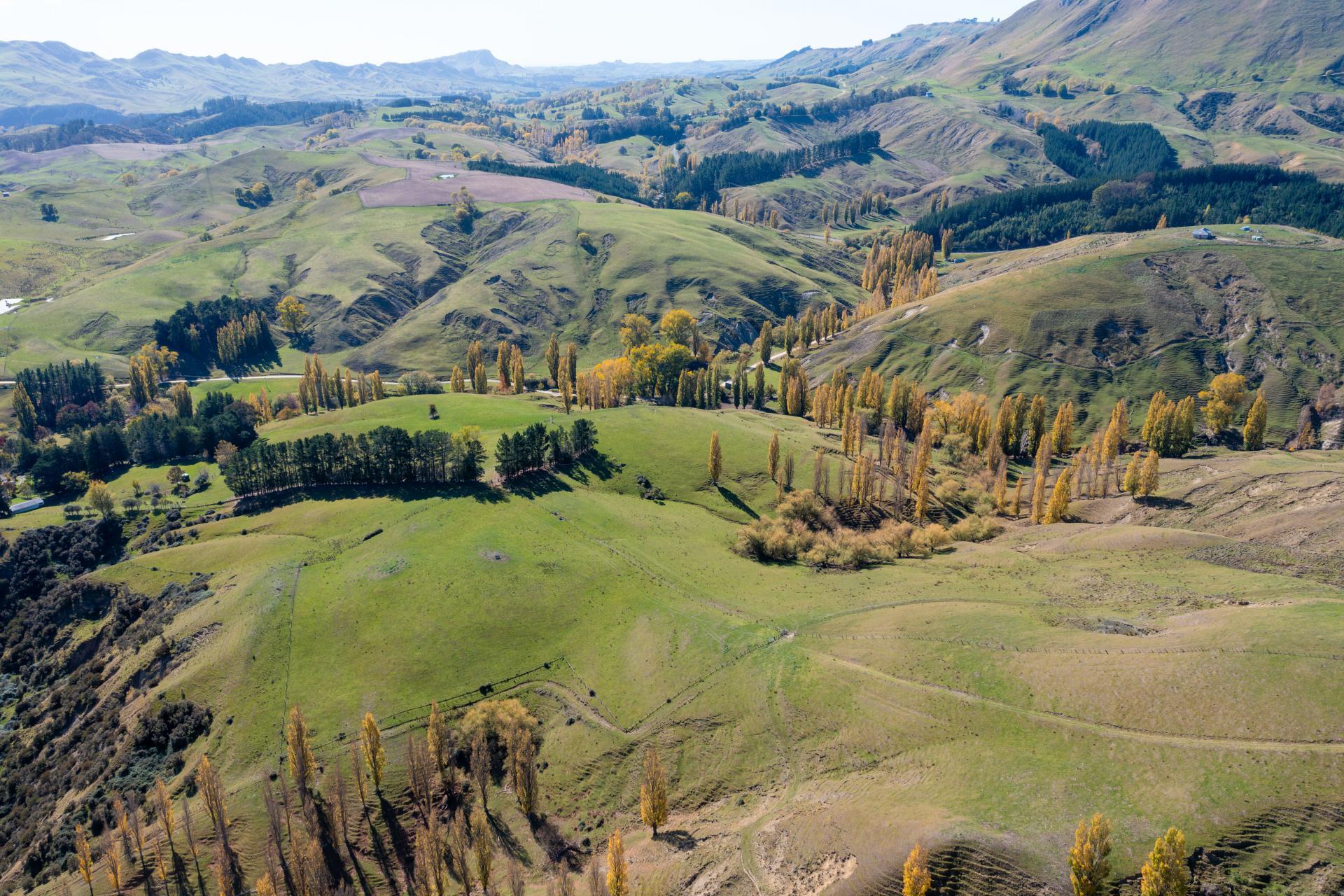81 MacKenzie Road, Kahuranaki