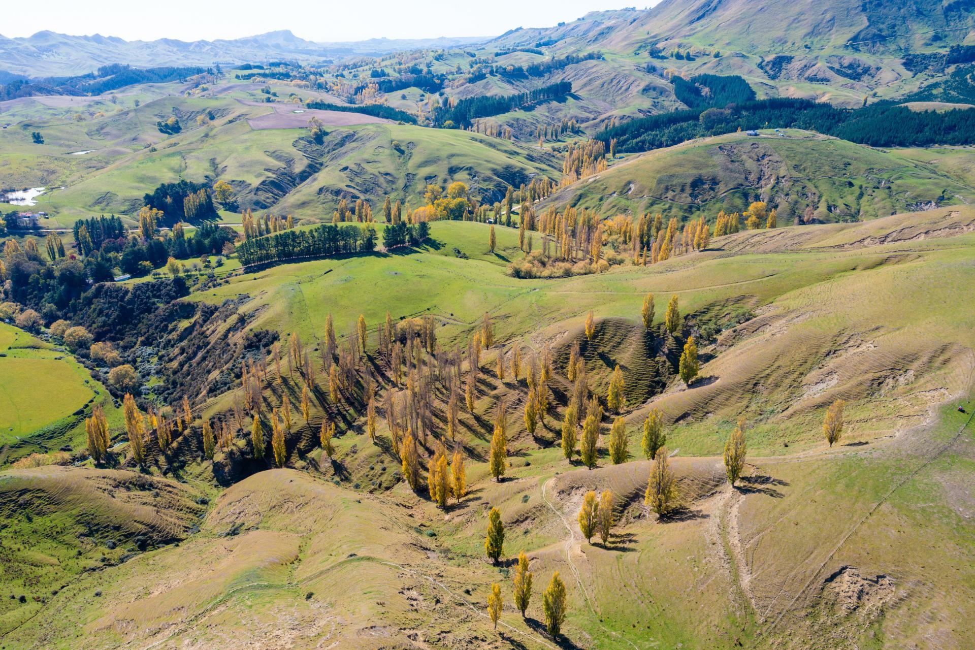 81 MacKenzie Road, Kahuranaki