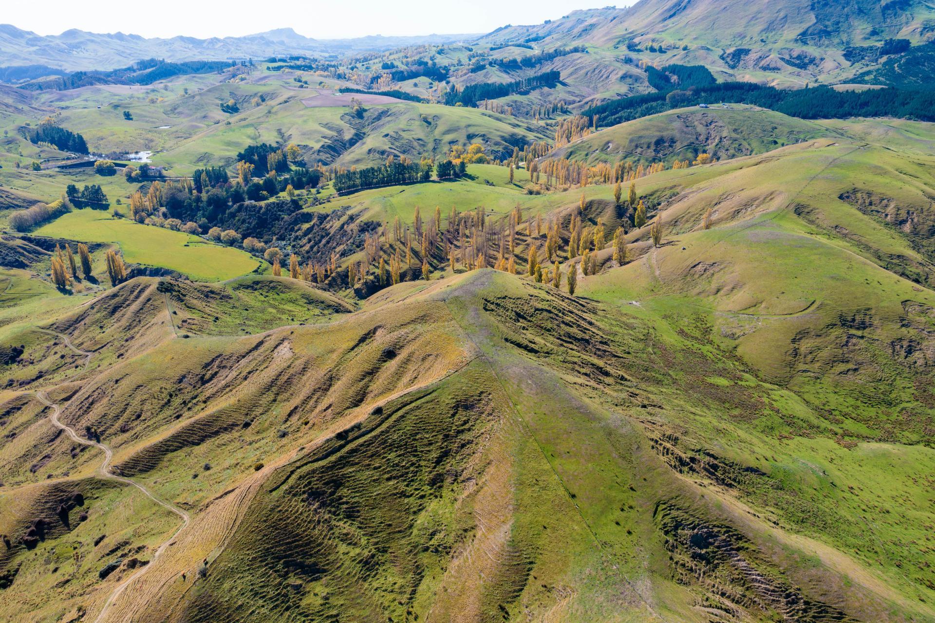 81 MacKenzie Road, Kahuranaki
