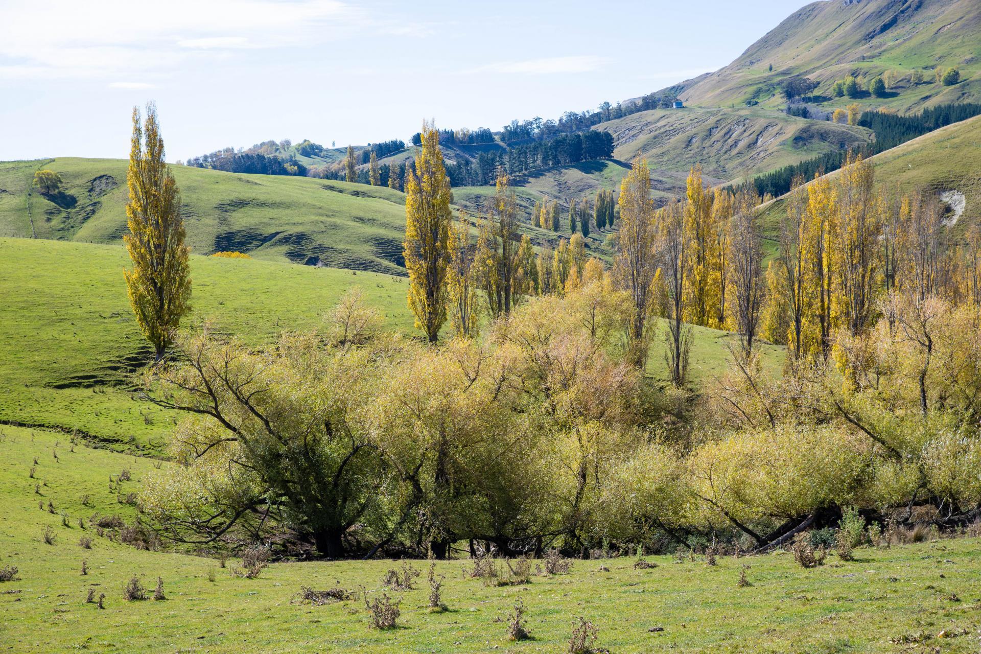 81 MacKenzie Road, Kahuranaki