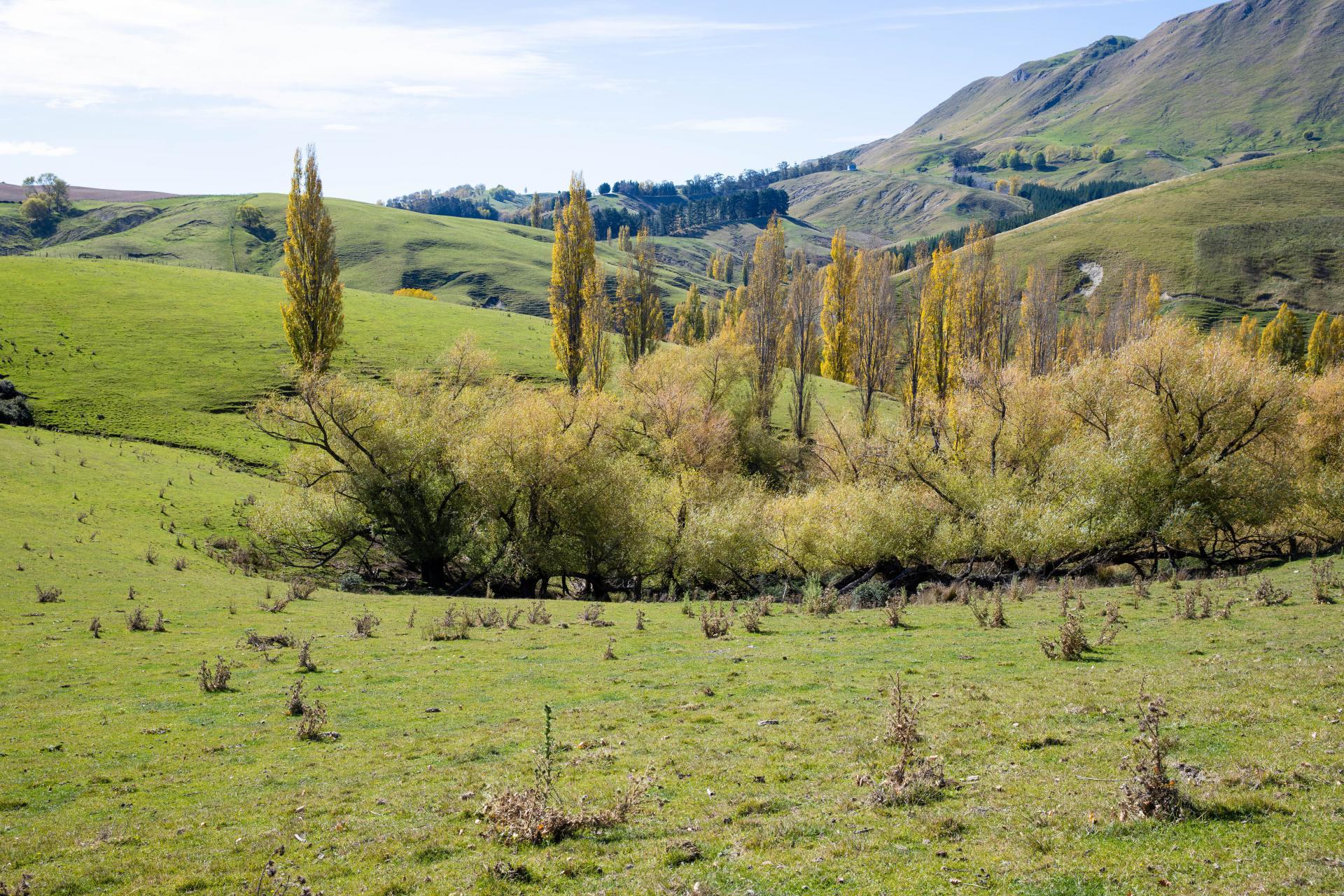 81 MacKenzie Road, Kahuranaki