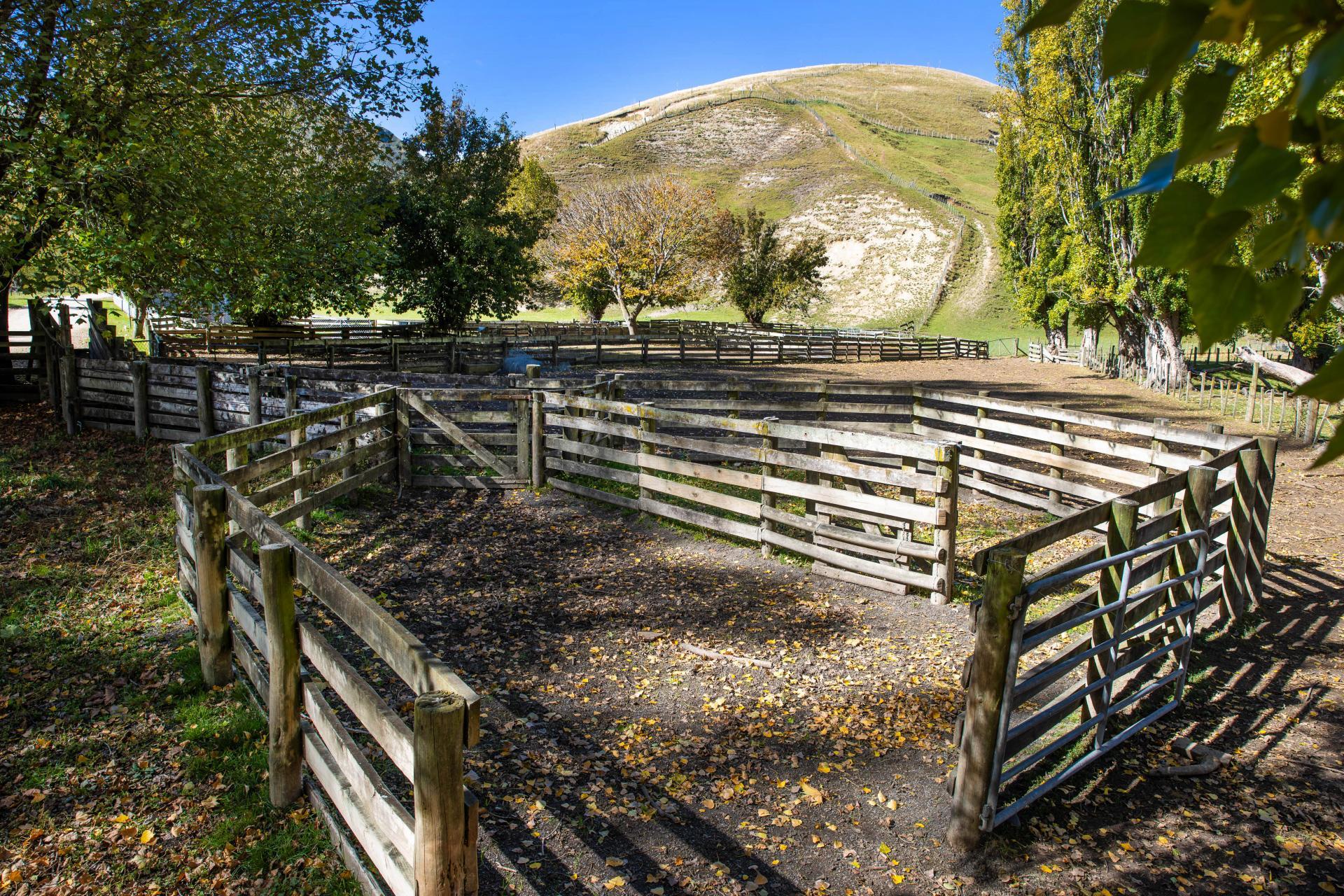 81 MacKenzie Road, Kahuranaki
