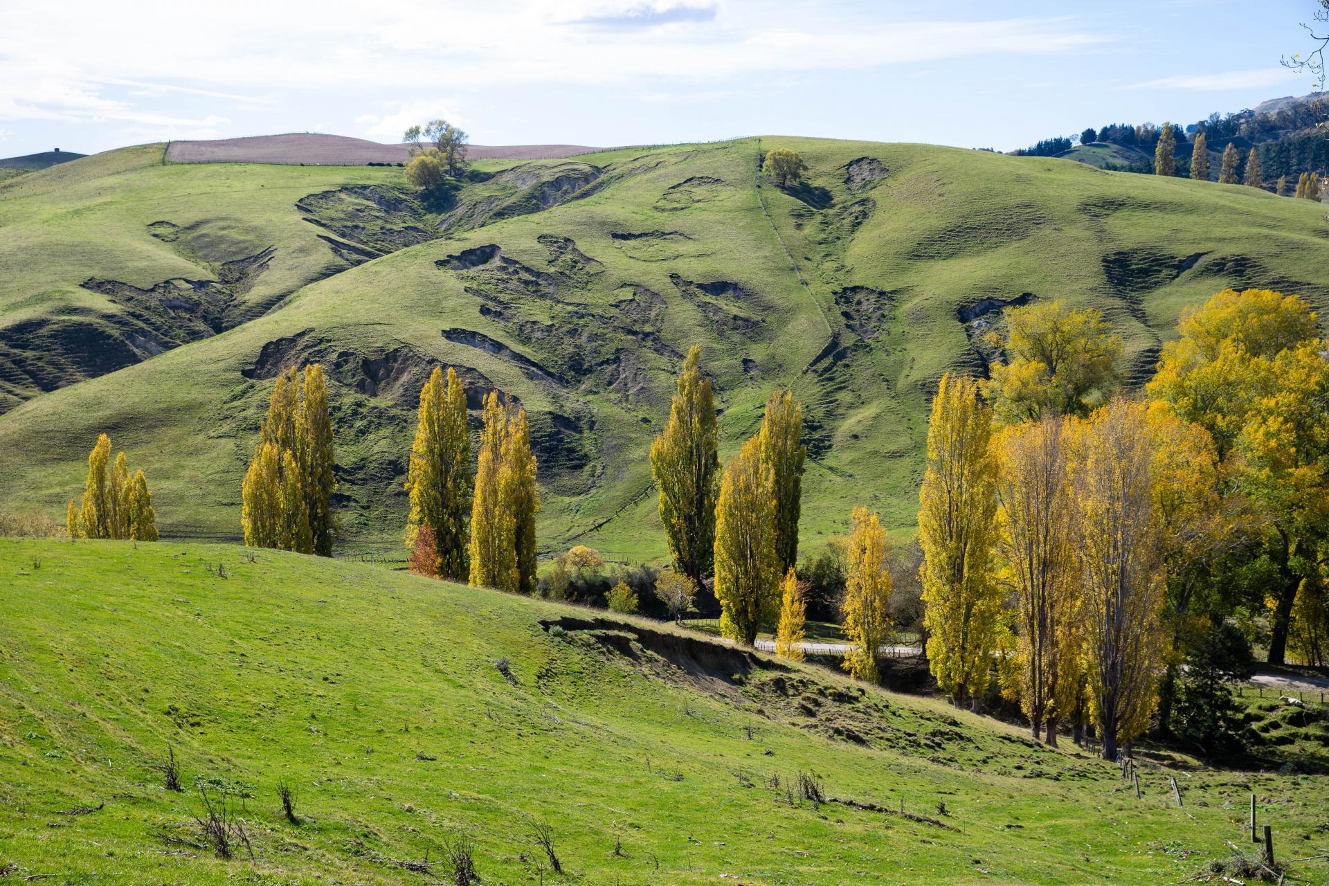 81 MacKenzie Road, Kahuranaki