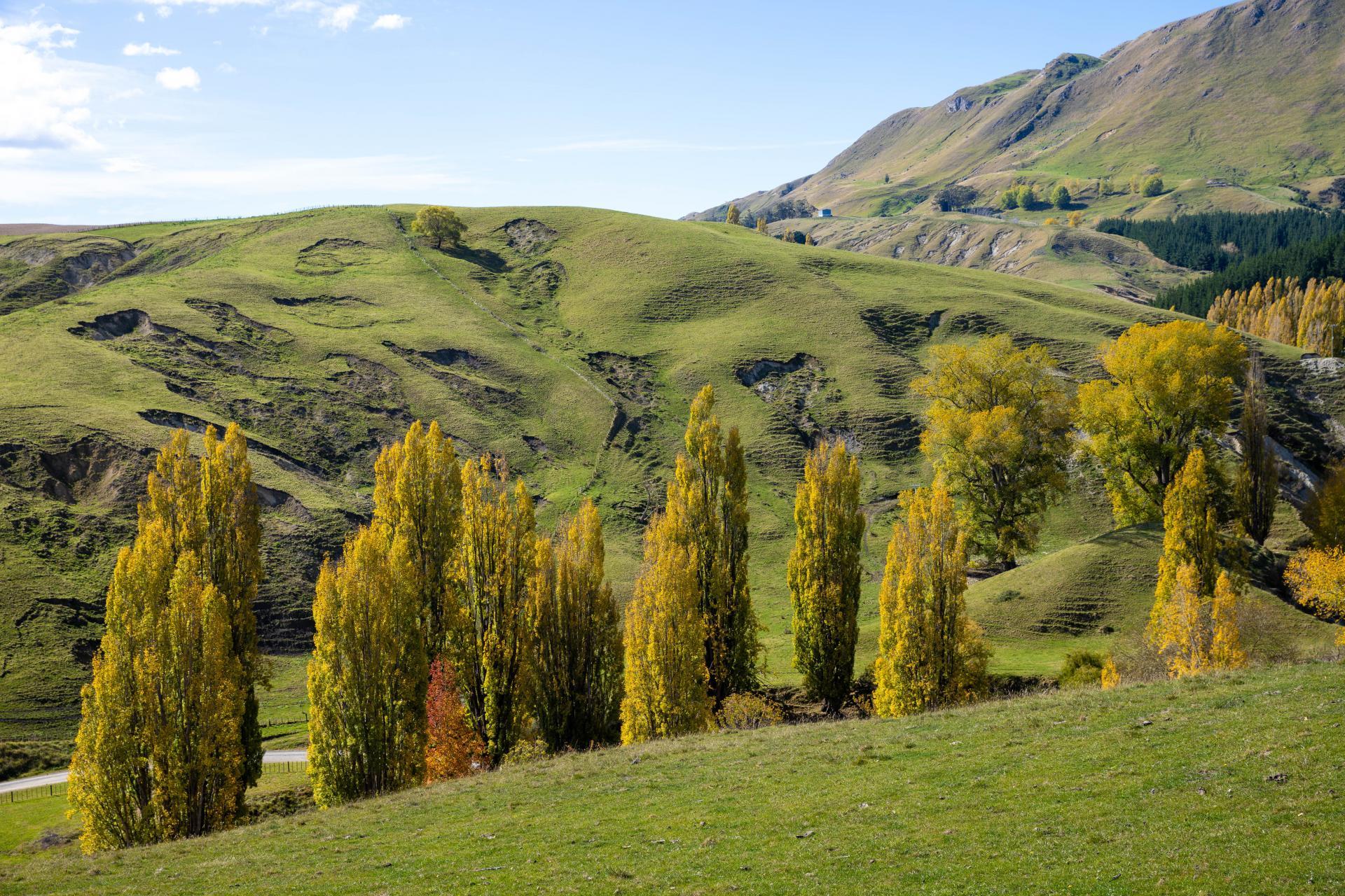 81 MacKenzie Road, Kahuranaki