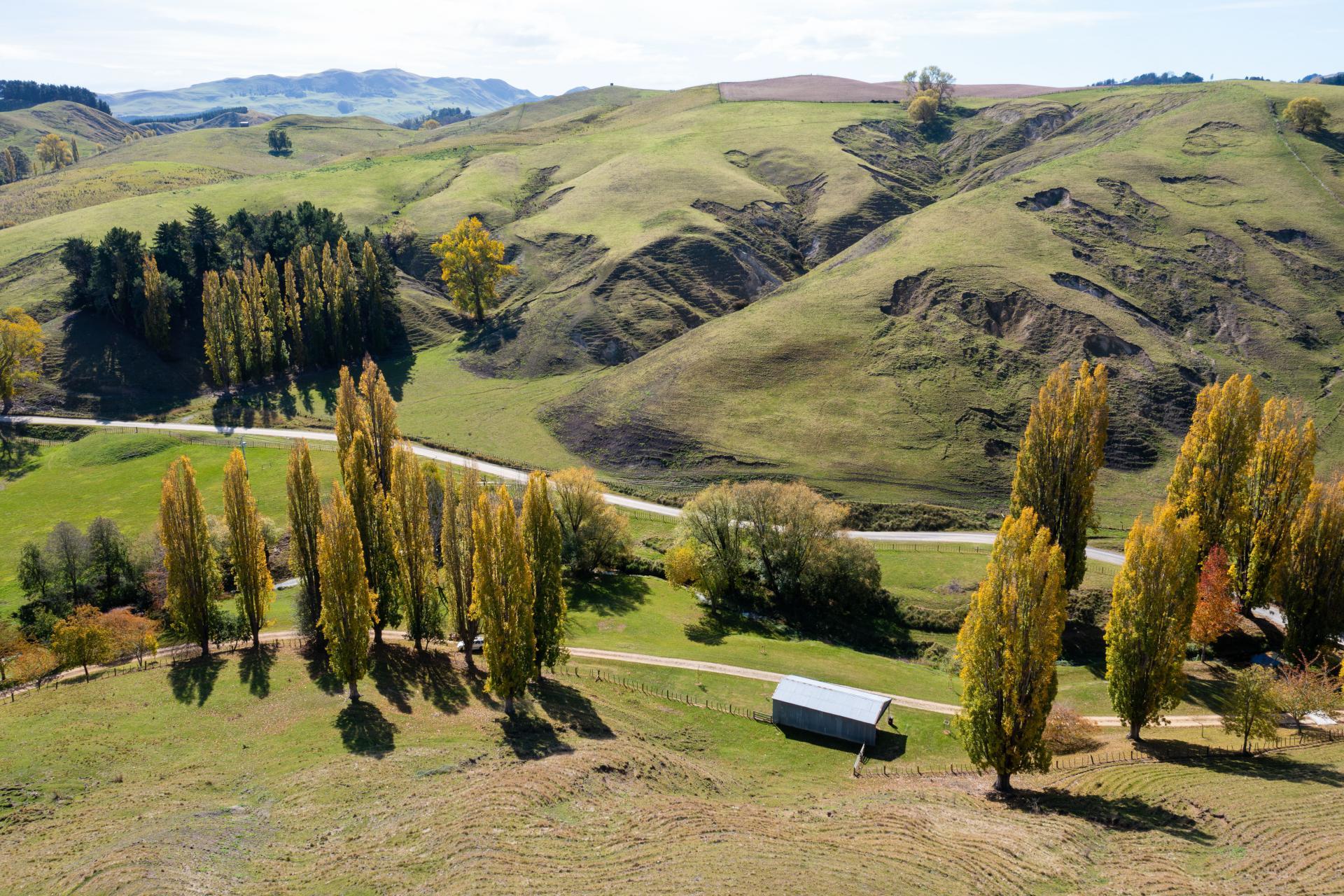 81 MacKenzie Road, Kahuranaki