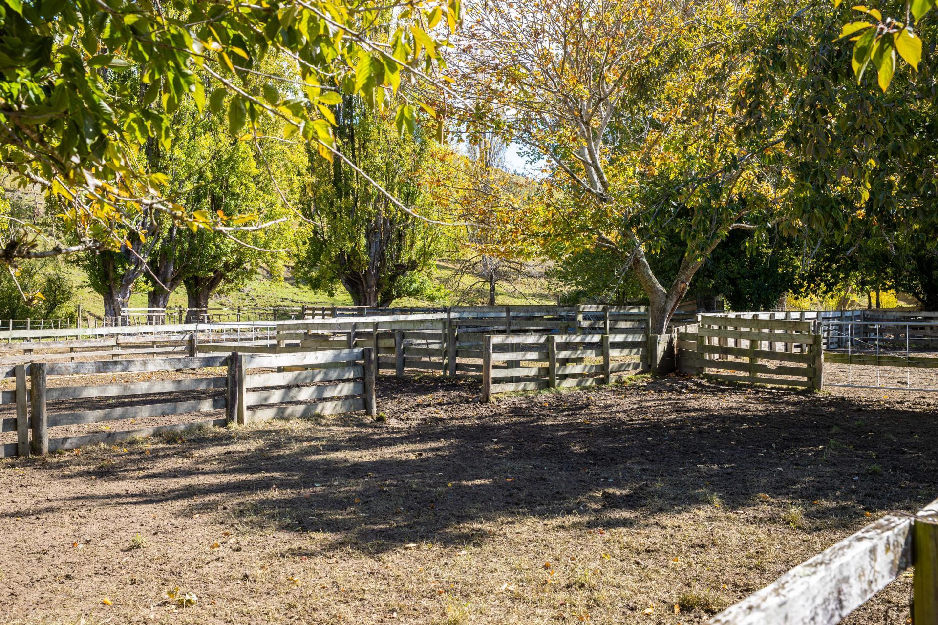 81 MacKenzie Road, Kahuranaki