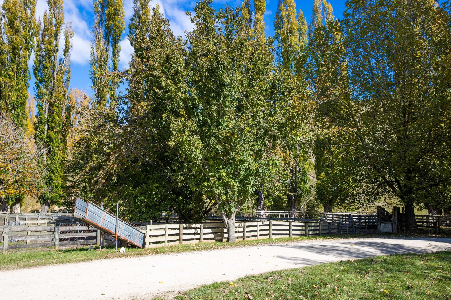 81 MacKenzie Road, Kahuranaki