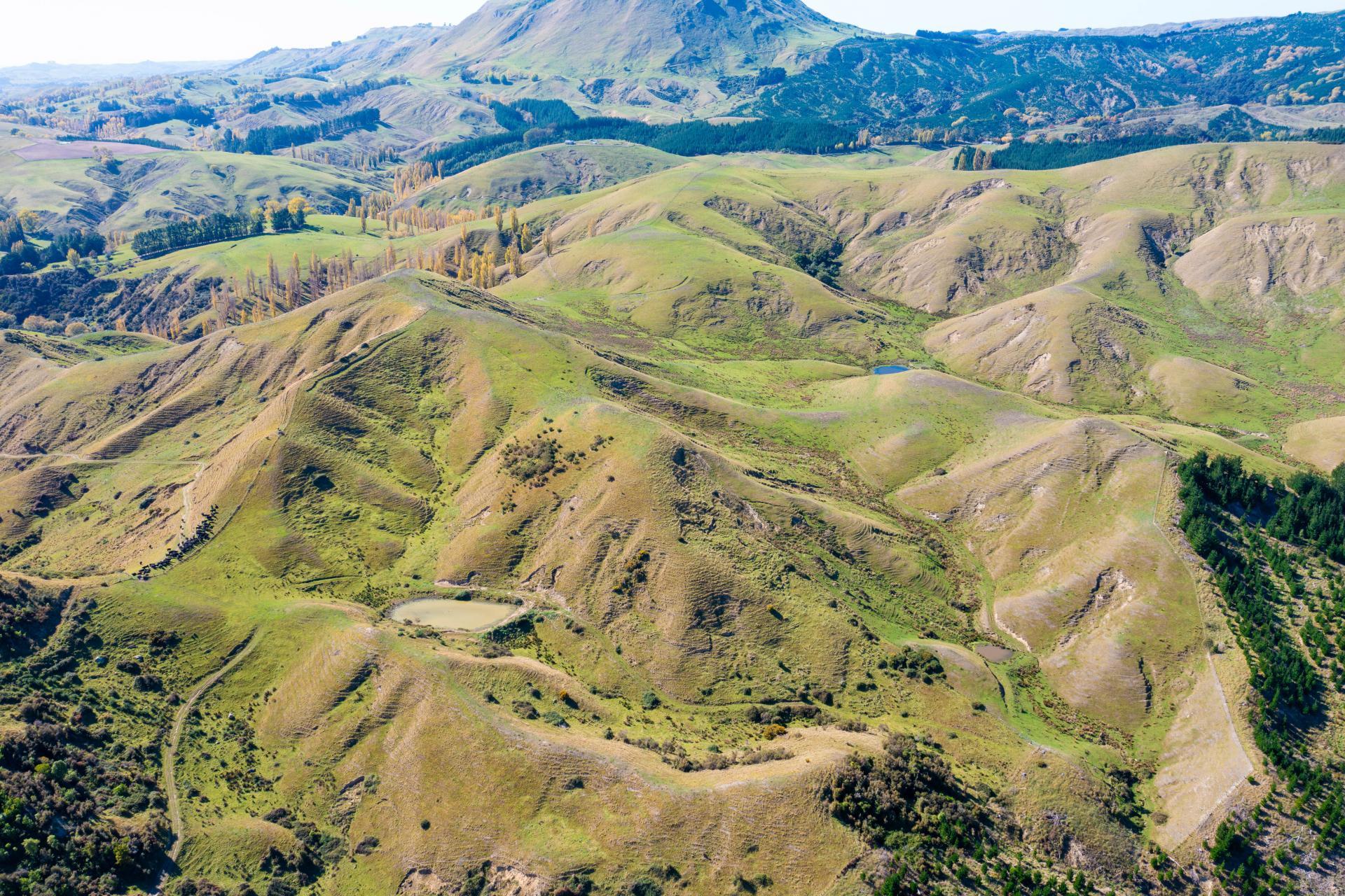 81 MacKenzie Road, Kahuranaki
