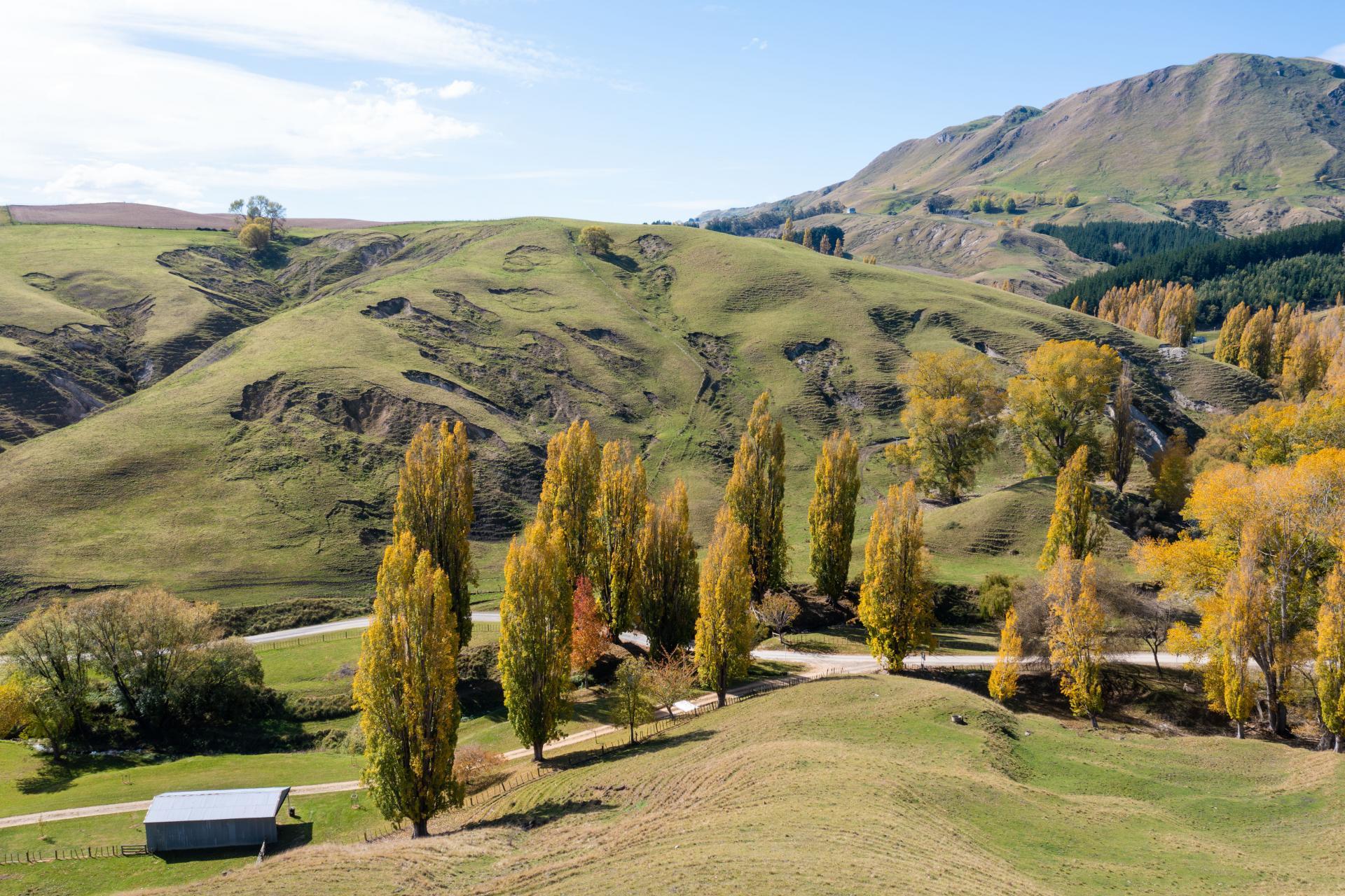 81 MacKenzie Road, Kahuranaki