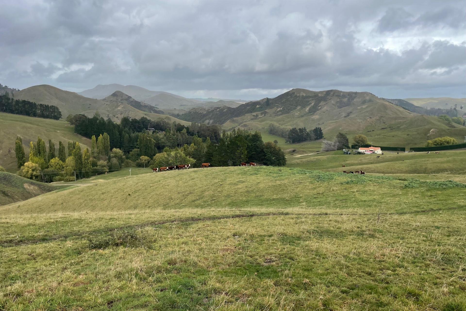81 MacKenzie Road, Kahuranaki