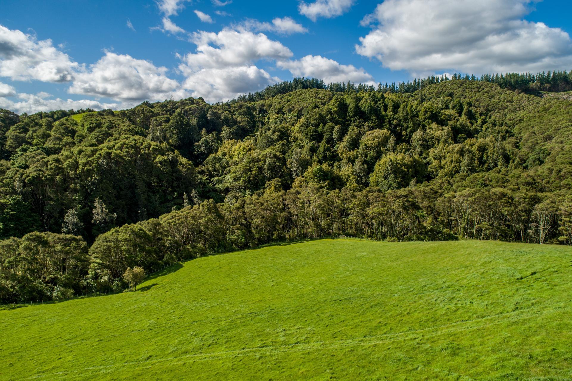 125 Wilson Road, Hunua