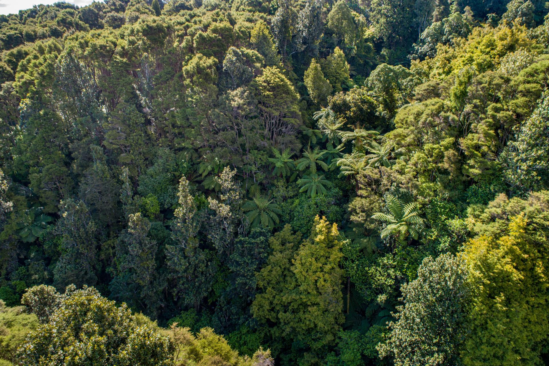 125 Wilson Road, Hunua