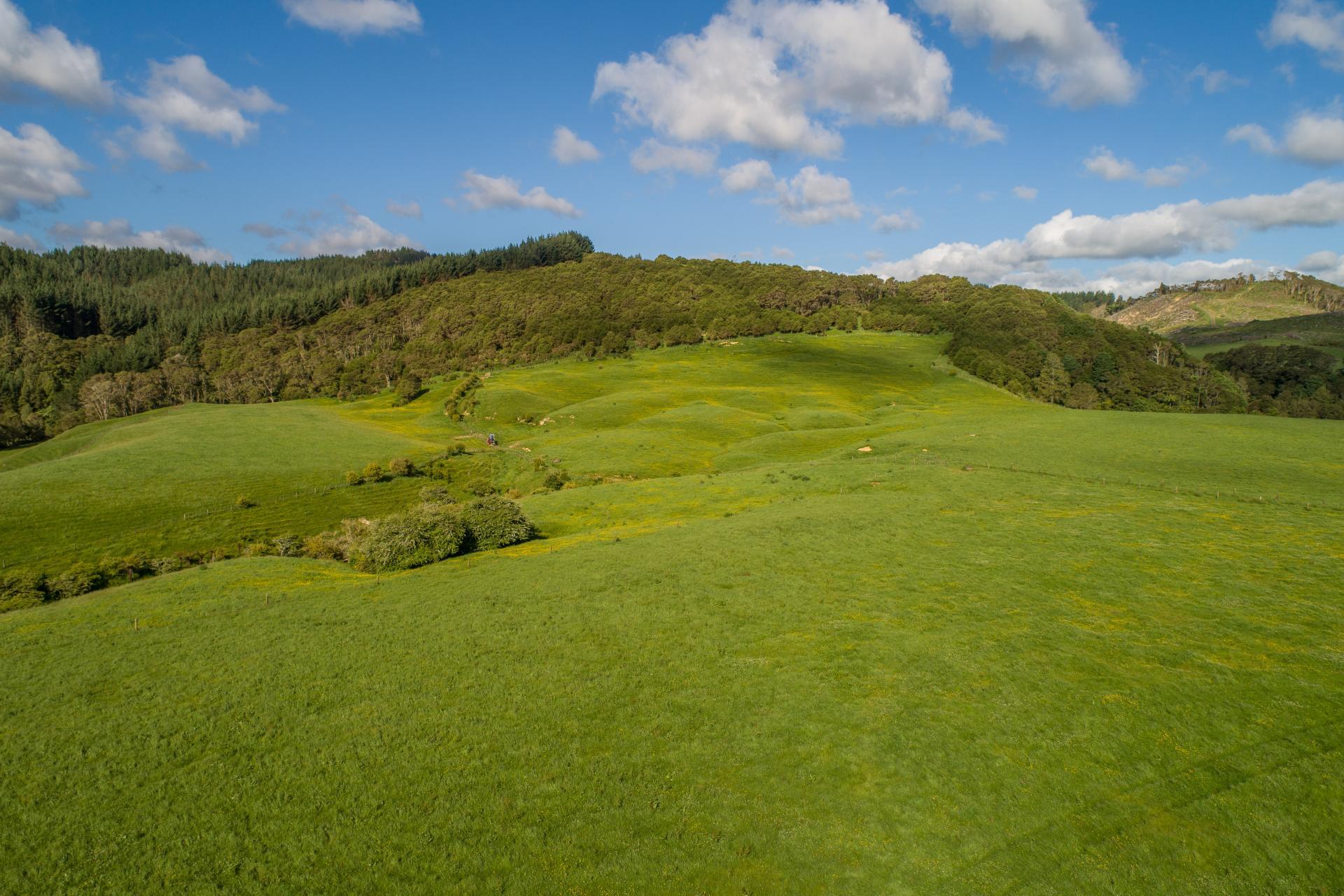 125 Wilson Road, Hunua