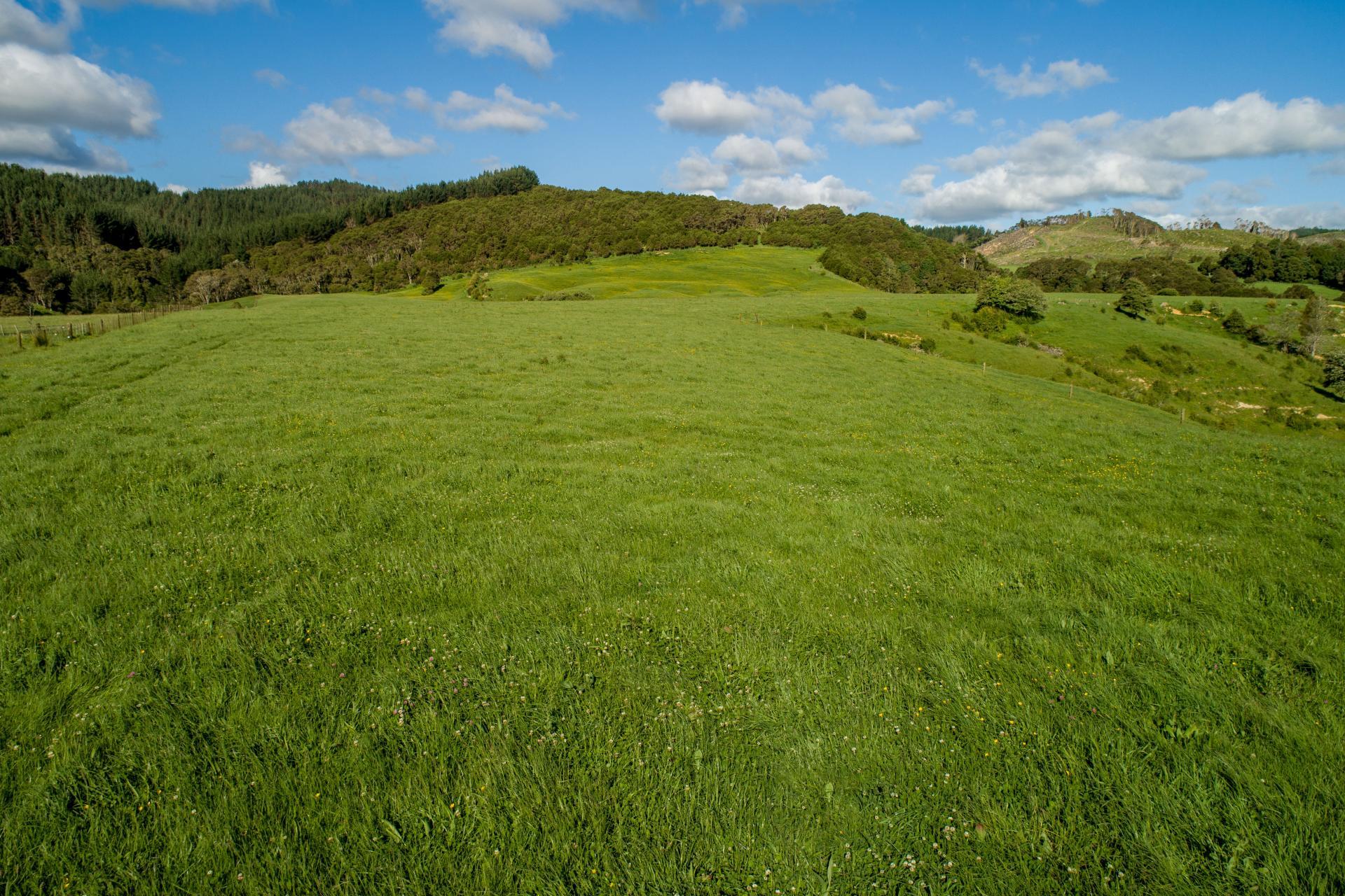 125 Wilson Road, Hunua