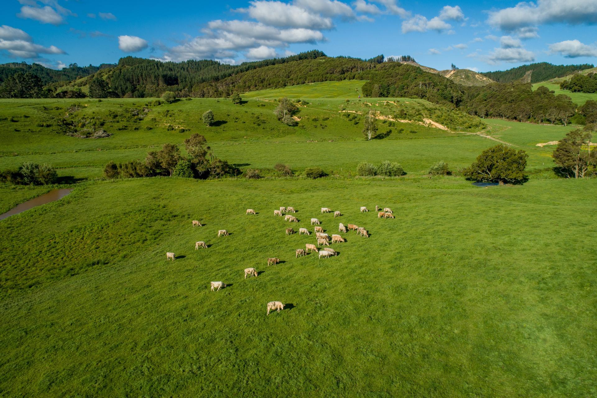 125 Wilson Road, Hunua