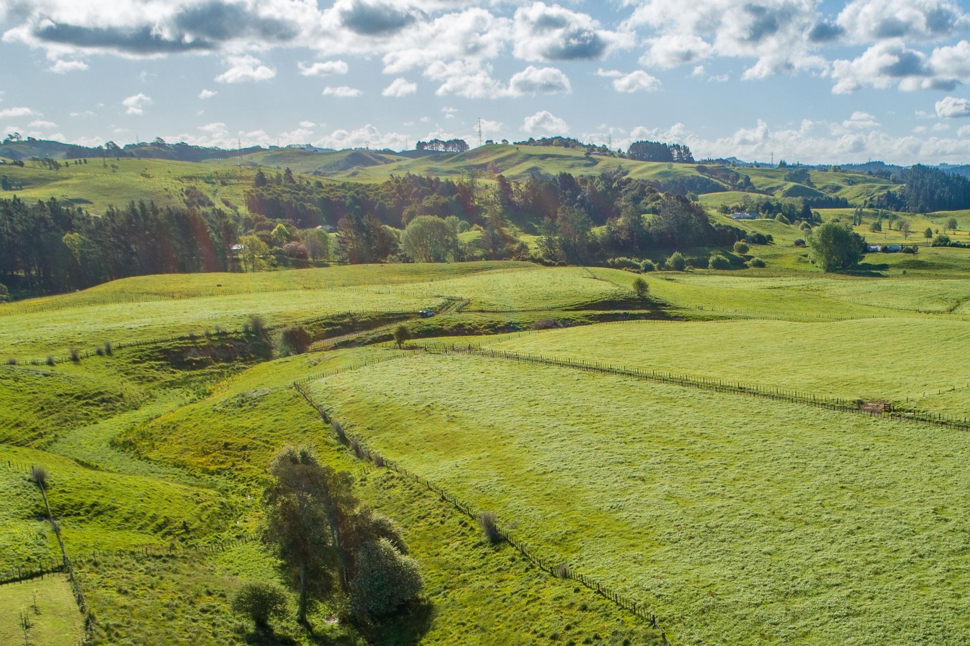 125 Wilson Road, Hunua