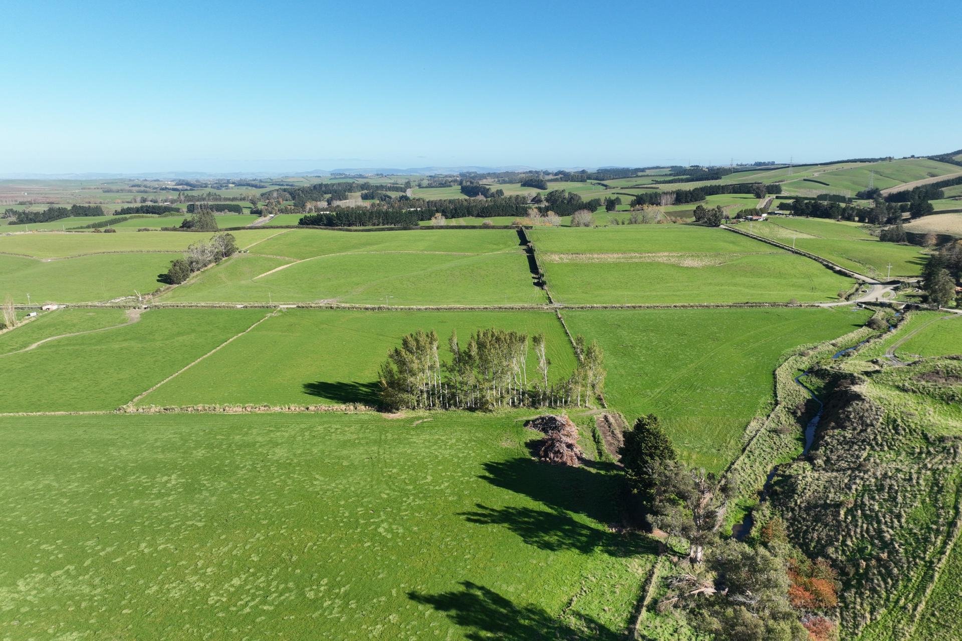 136 Coe Road, Lovells Flat