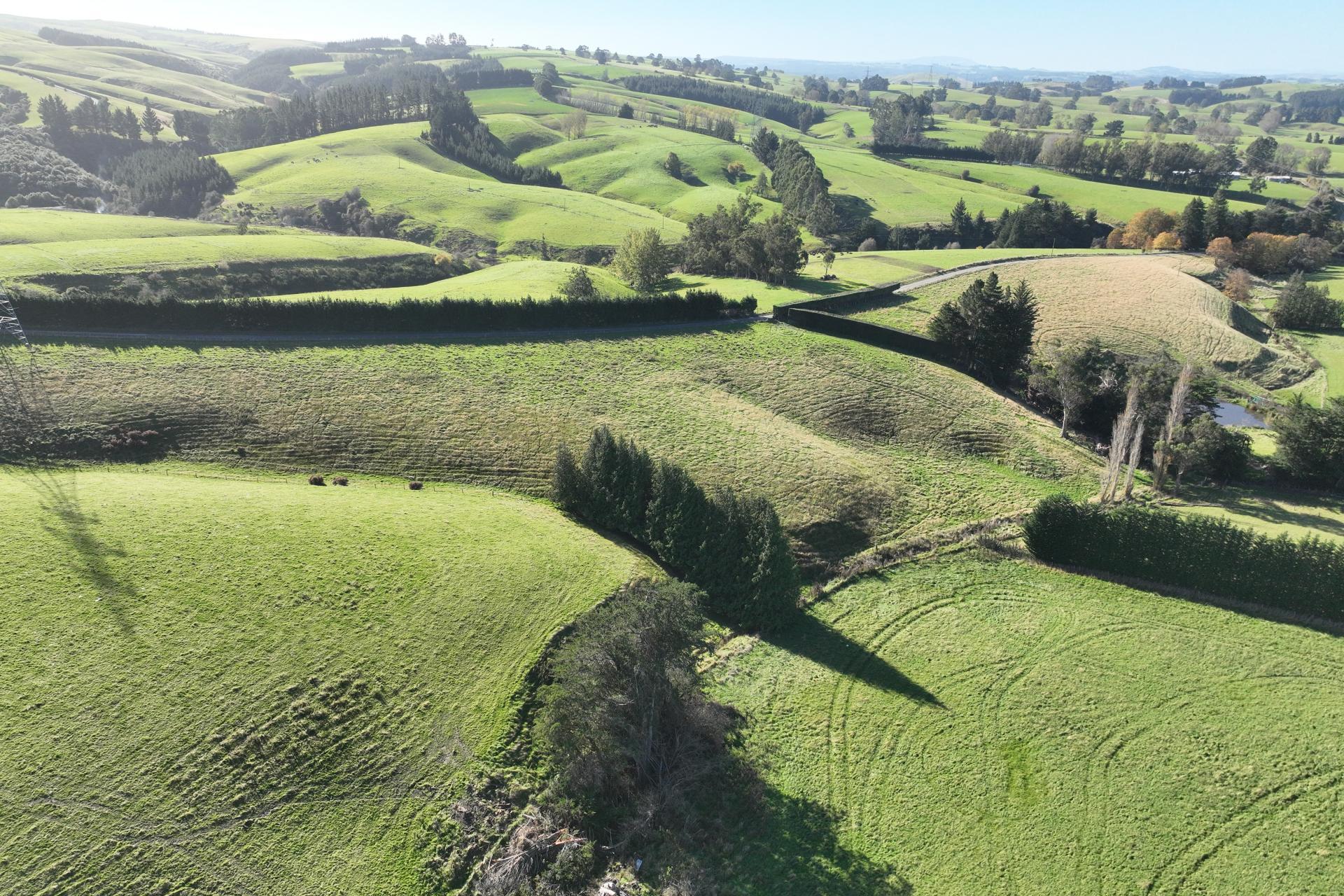 136 Coe Road, Lovells Flat