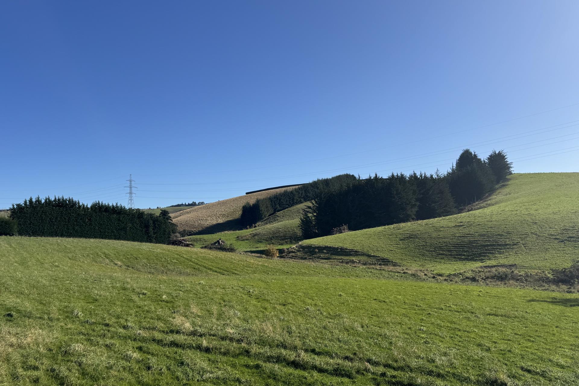 136 Coe Road, Lovells Flat