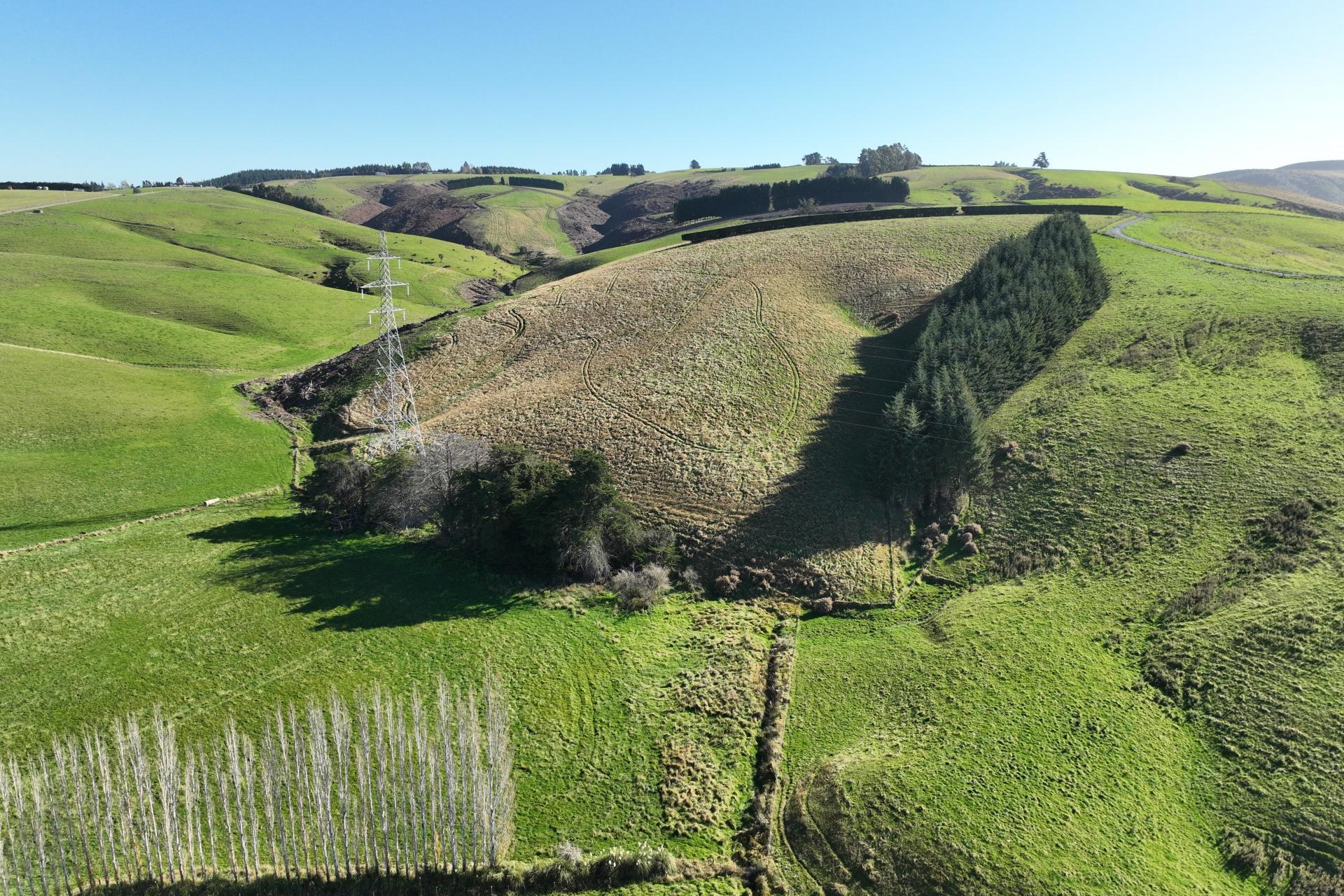 136 Coe Road, Lovells Flat