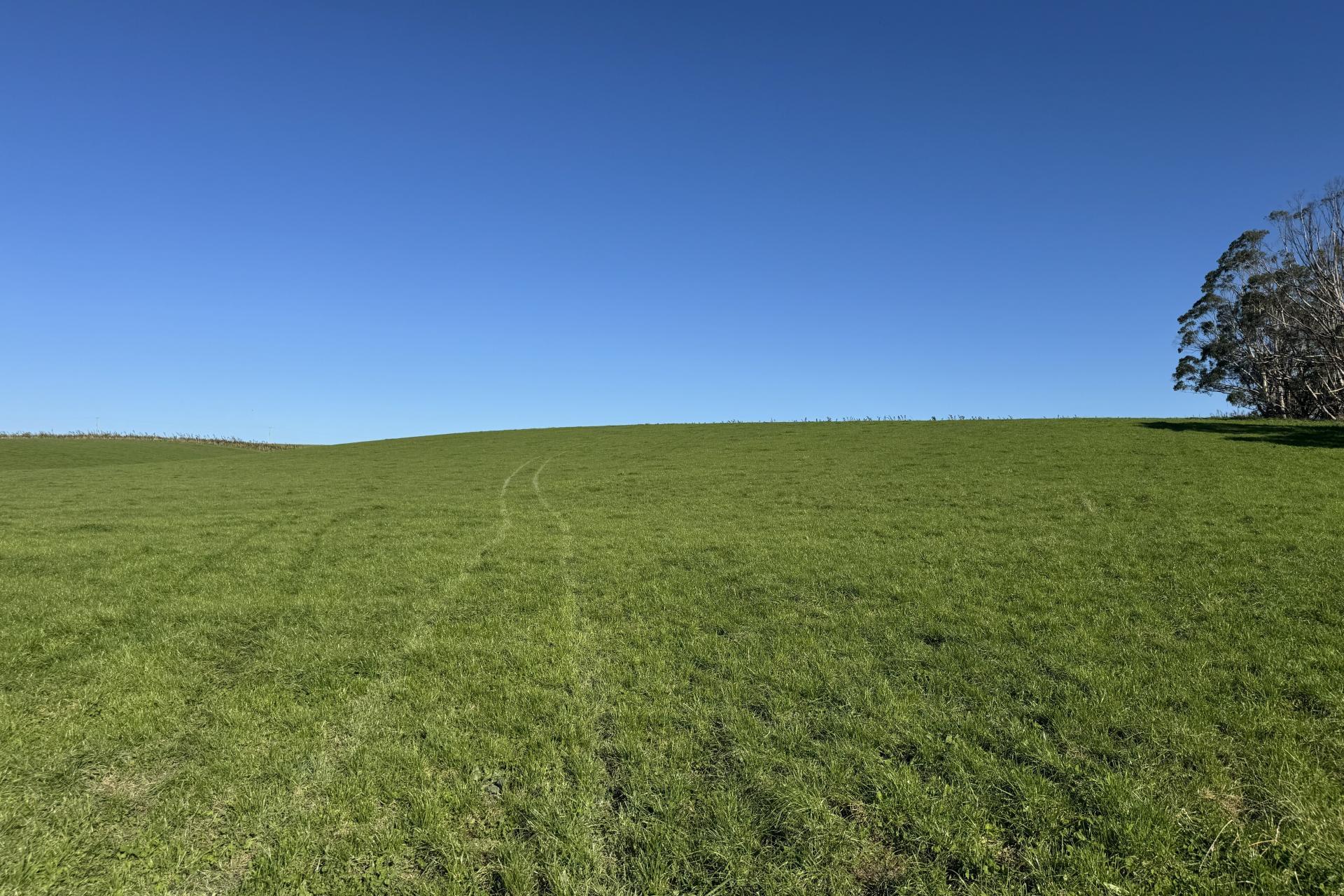 136 Coe Road, Lovells Flat