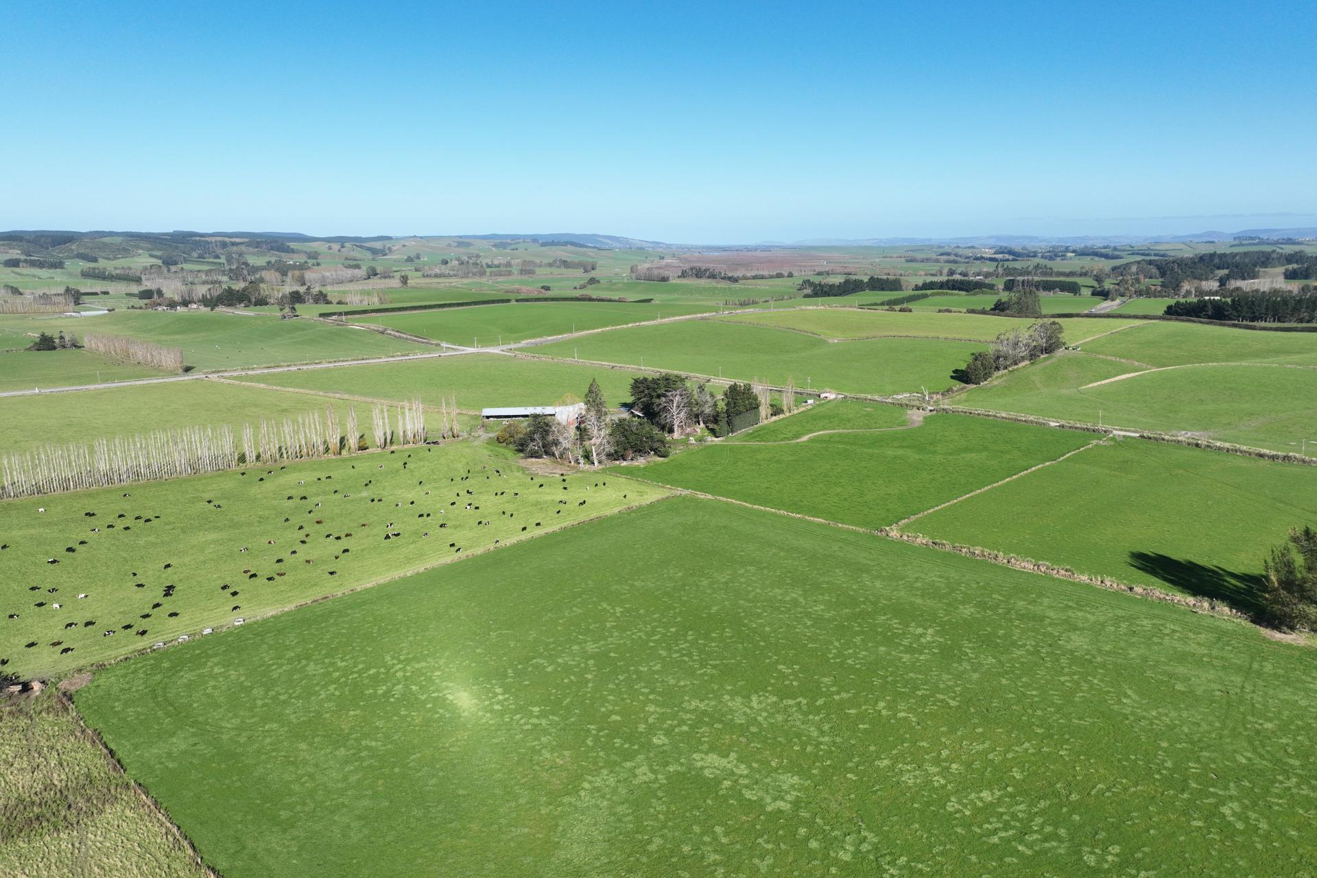 136 Coe Road, Lovells Flat