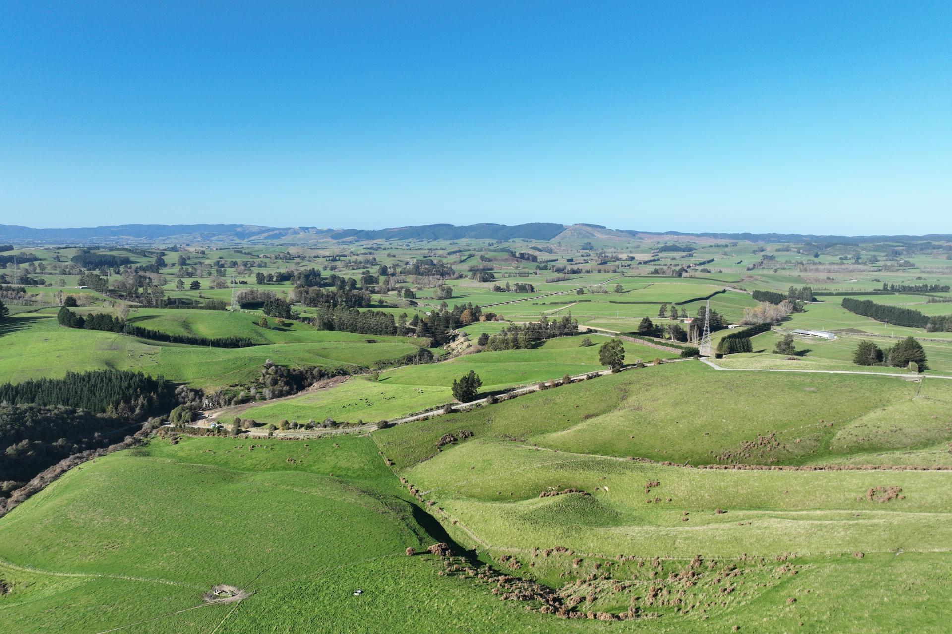 136 Coe Road, Lovells Flat
