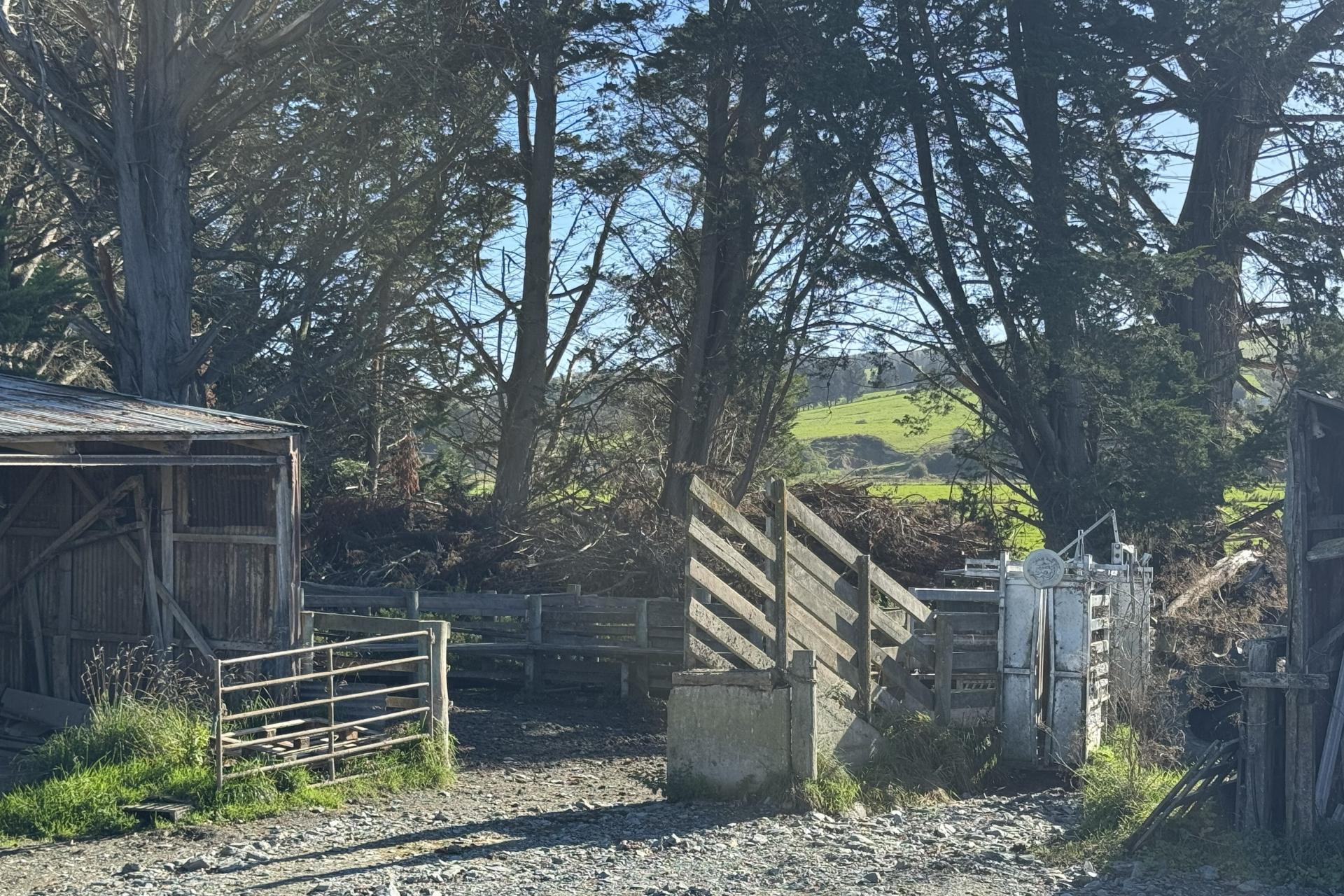 136 Coe Road, Lovells Flat