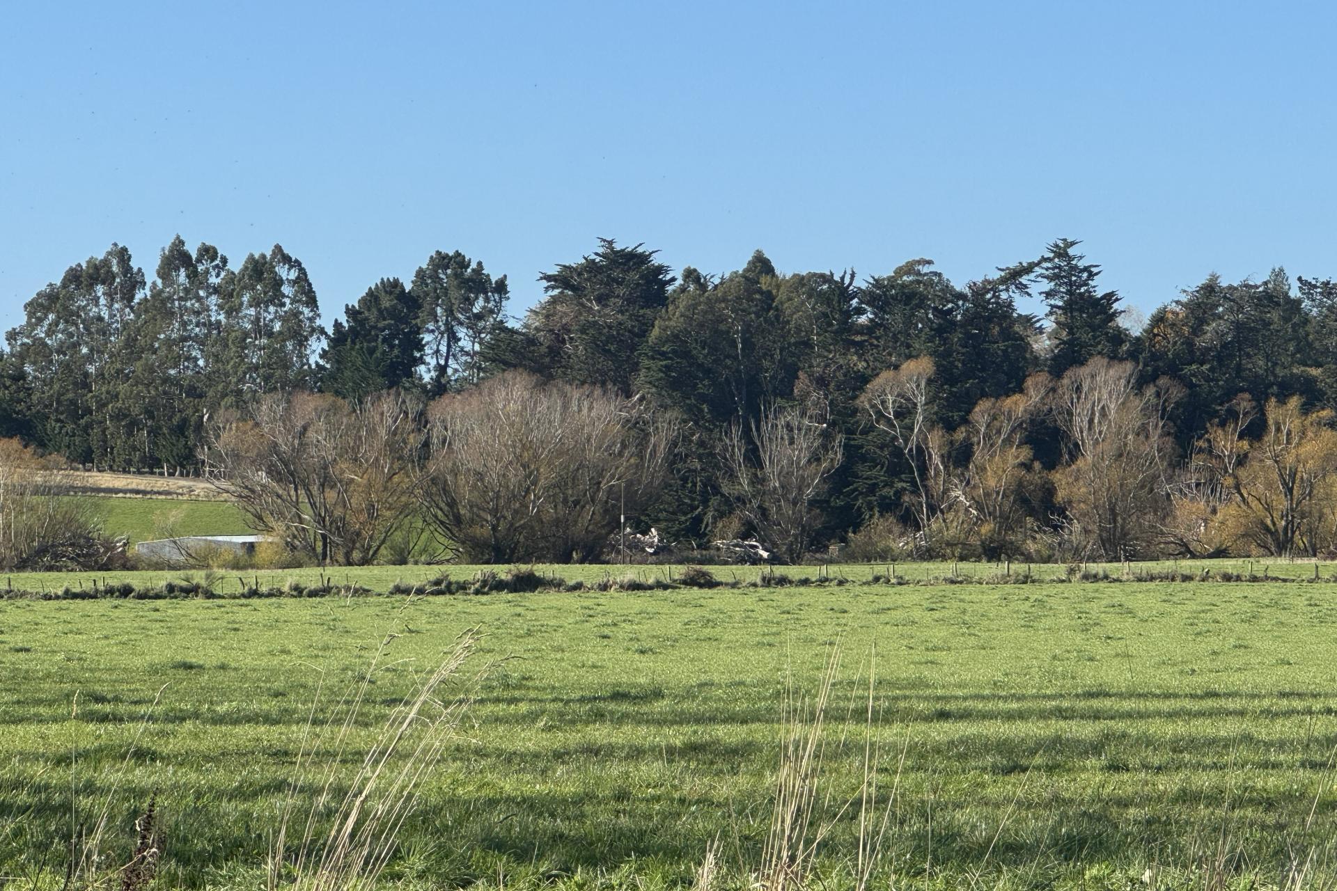 136 Coe Road, Lovells Flat