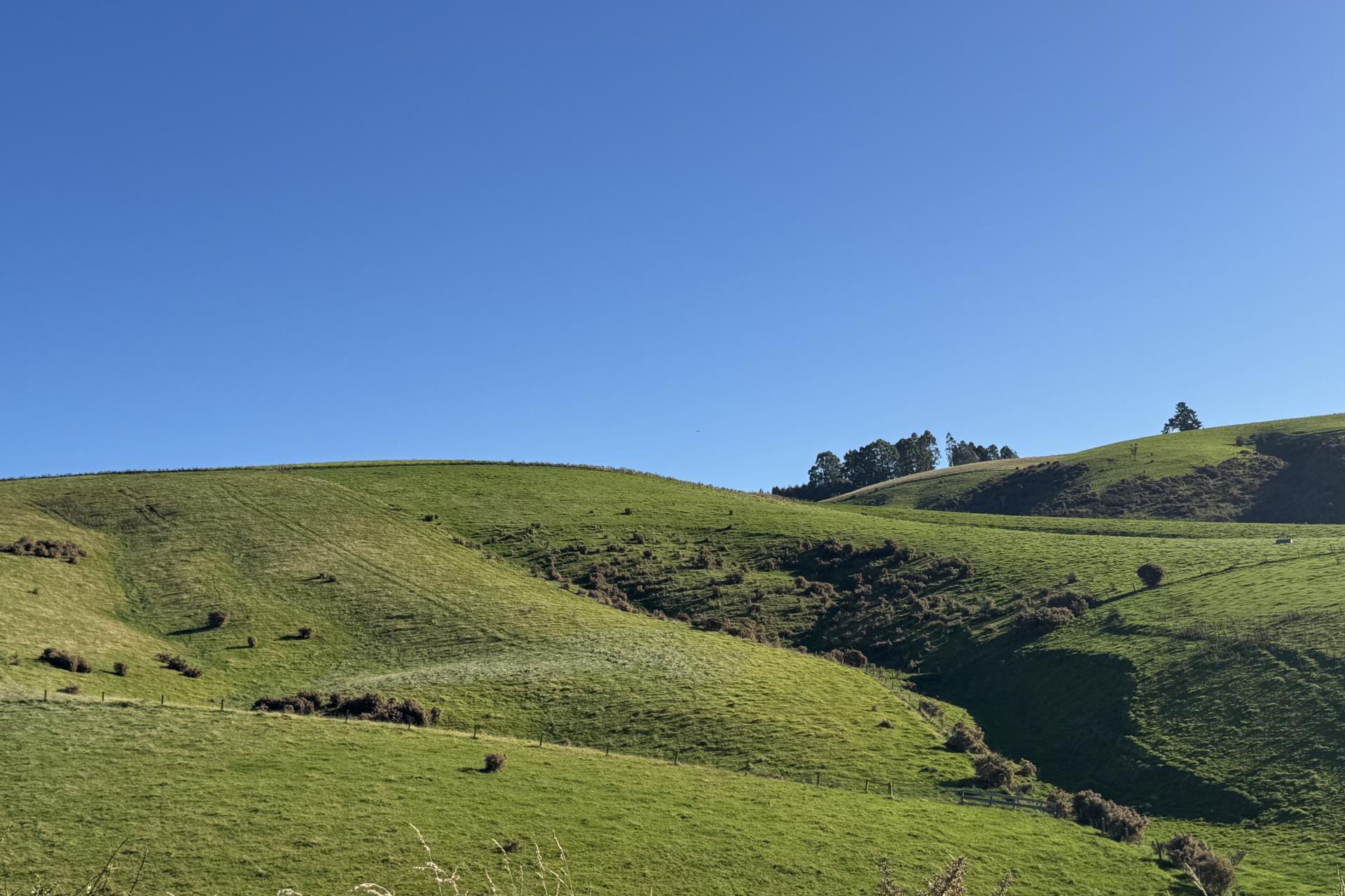 136 Coe Road, Lovells Flat