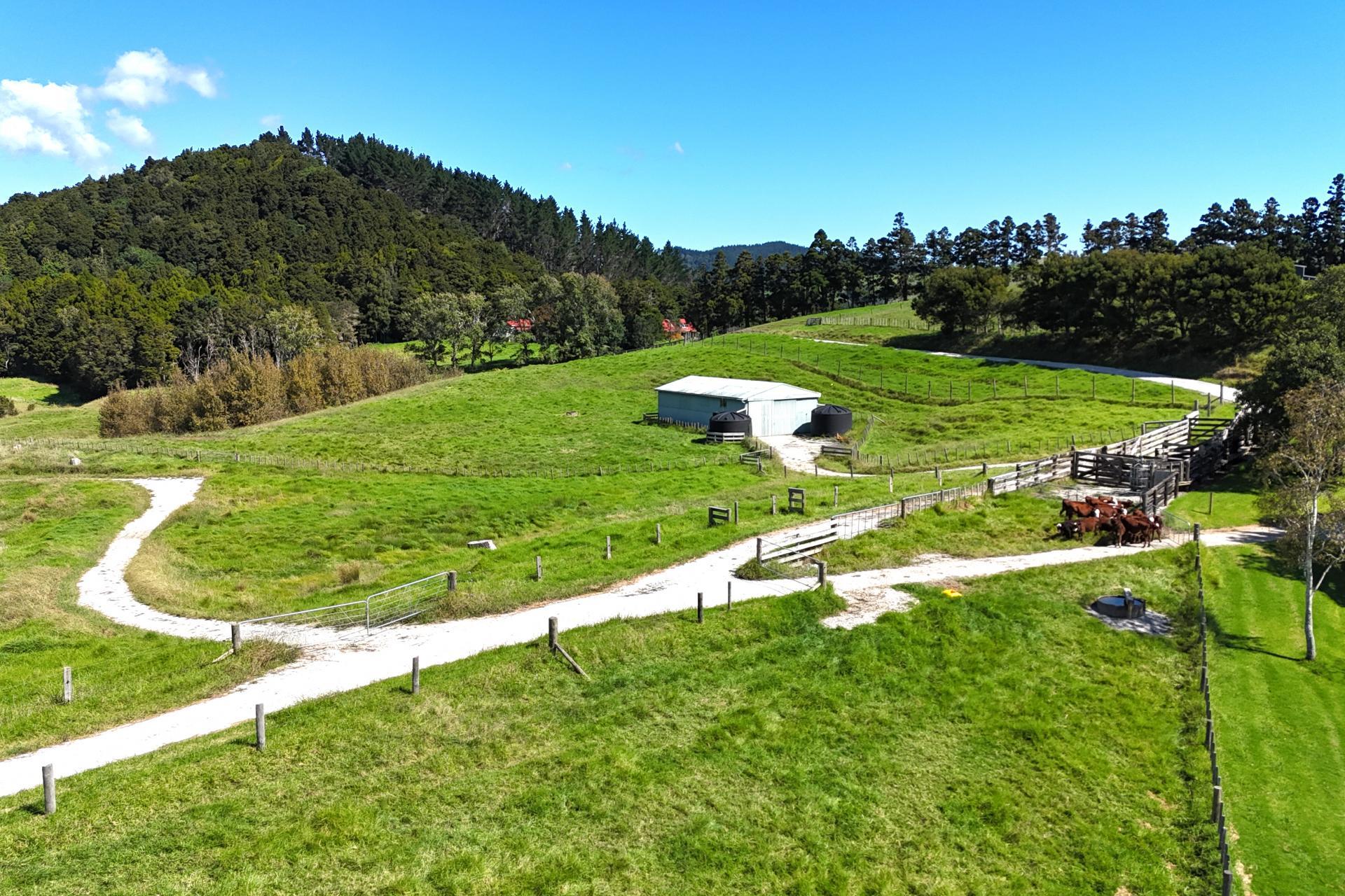 509 Old Woodcocks Road, Kaipara Flats