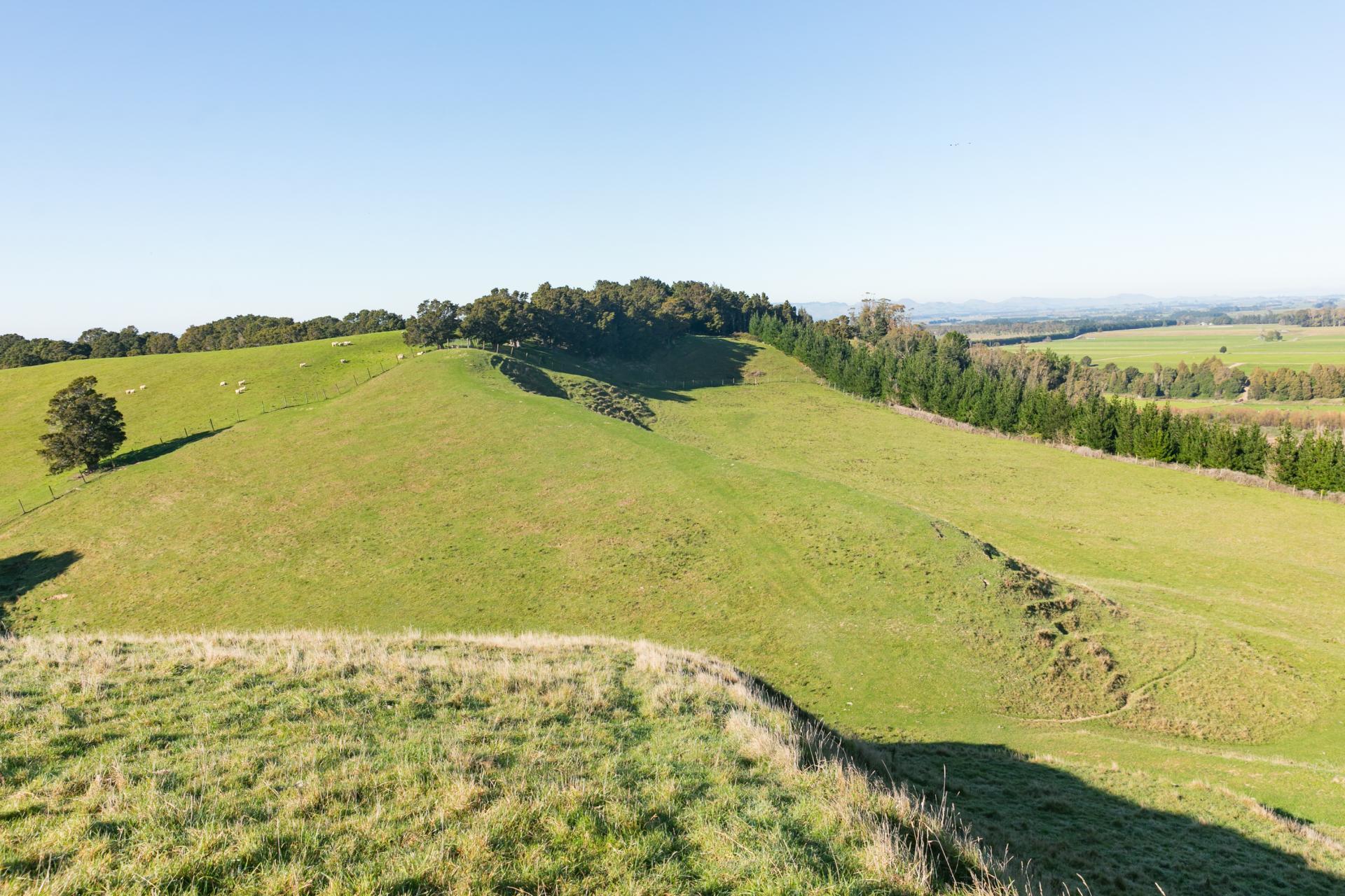 613 Blackburn Road, Ongaonga