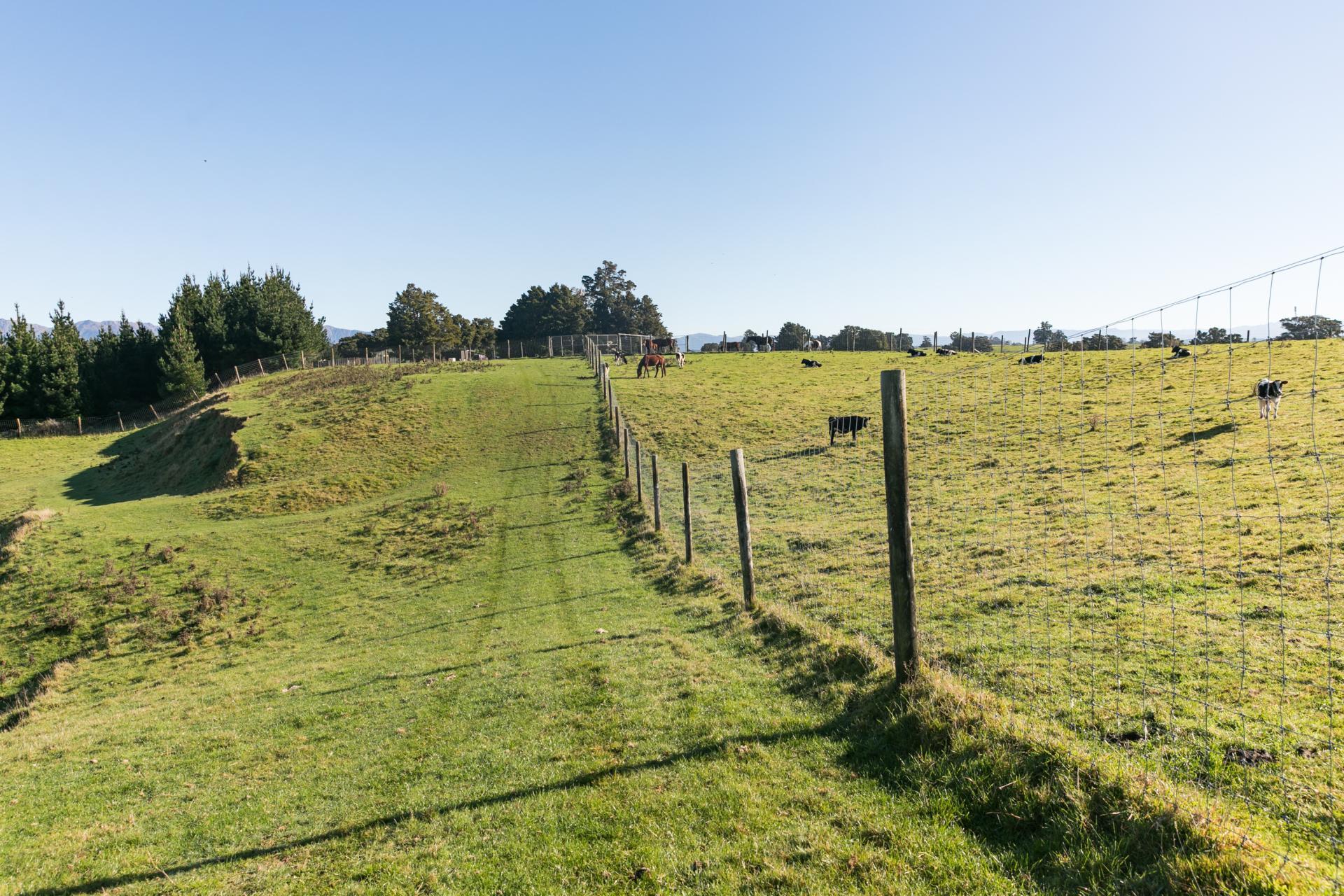 613 Blackburn Road, Ongaonga