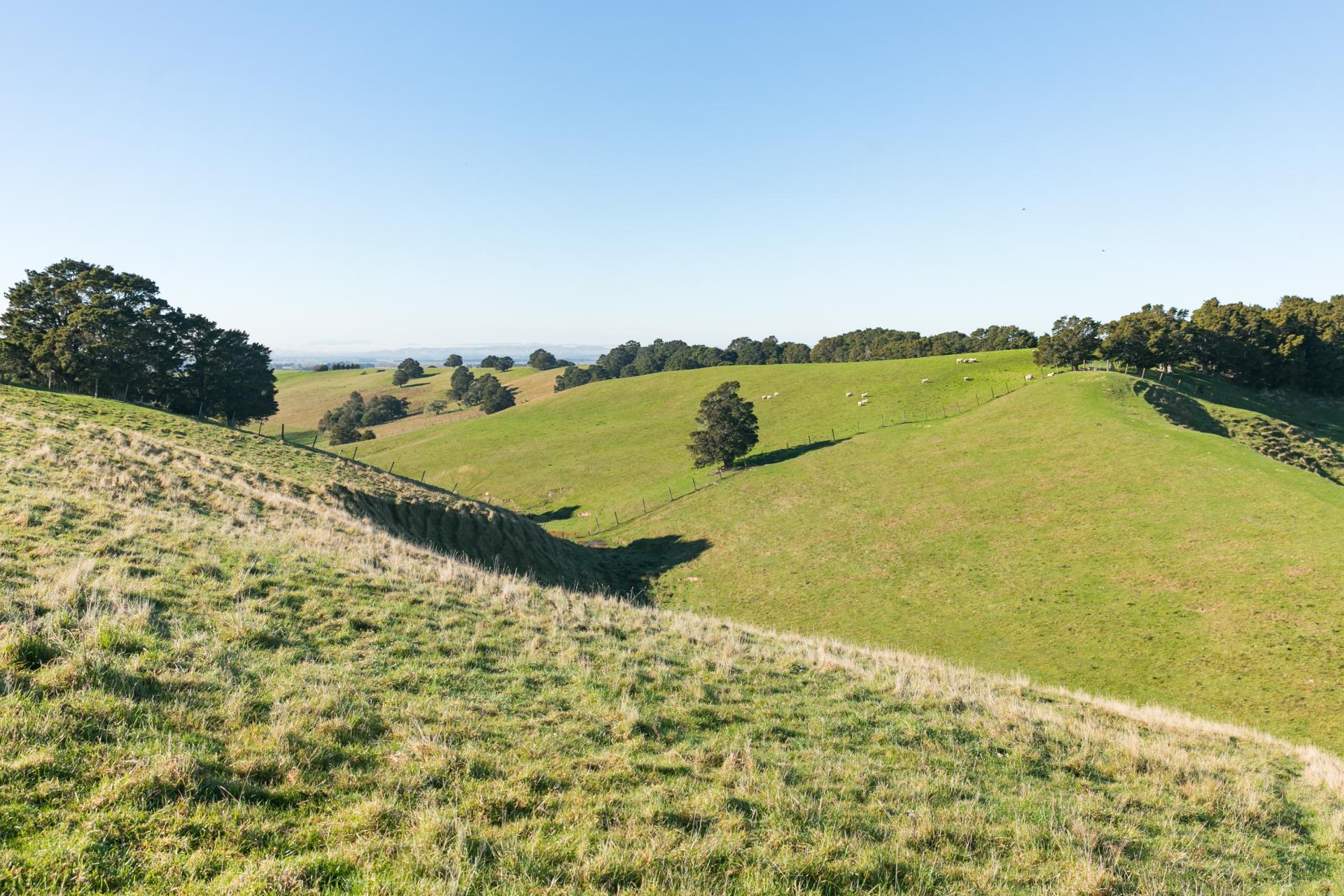613 Blackburn Road, Ongaonga