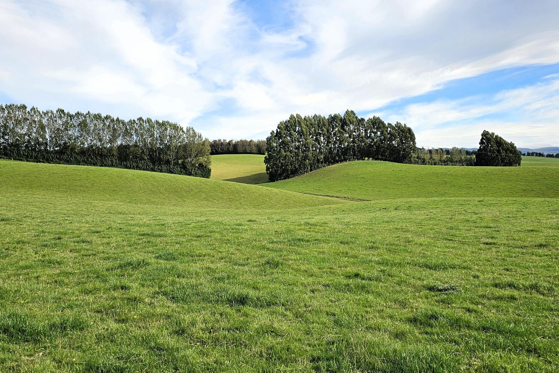 104 Bushy Park Road, Waikaka