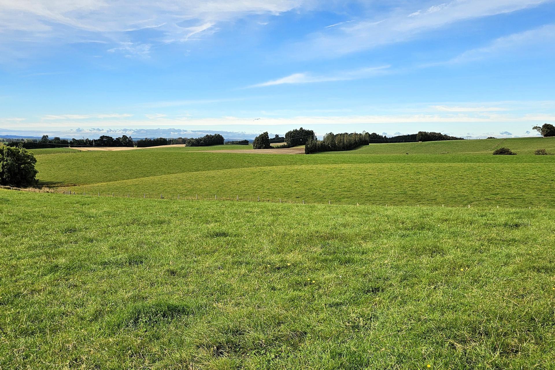104 Bushy Park Road, Waikaka