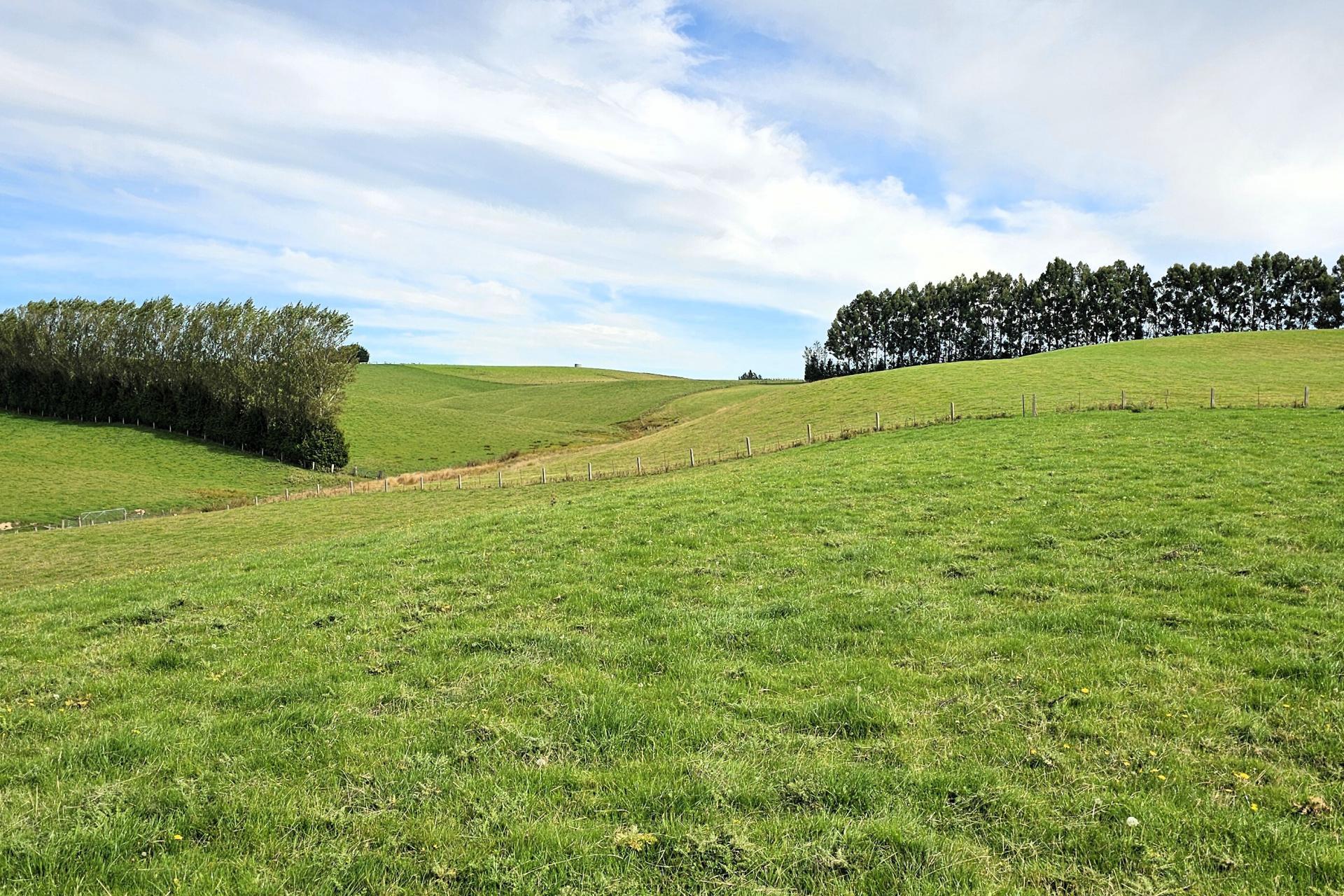 104 Bushy Park Road, Waikaka